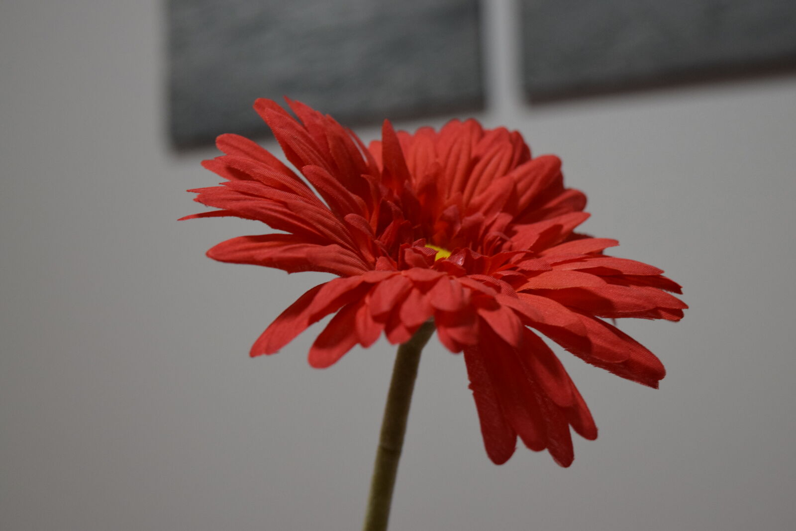 Nikon D3300 sample photo. Artificial, flower, red photography