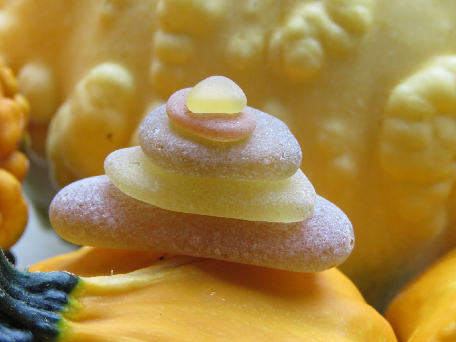 Canon PowerShot SX60 HS sample photo. Zeeglas, pumpkin, yellow photography