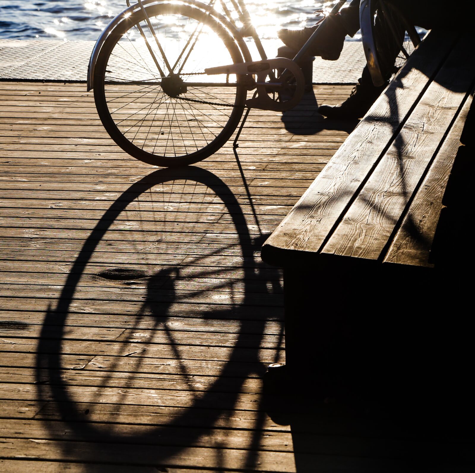 Canon EOS 6D sample photo. Bike, backlighting, evening sun photography