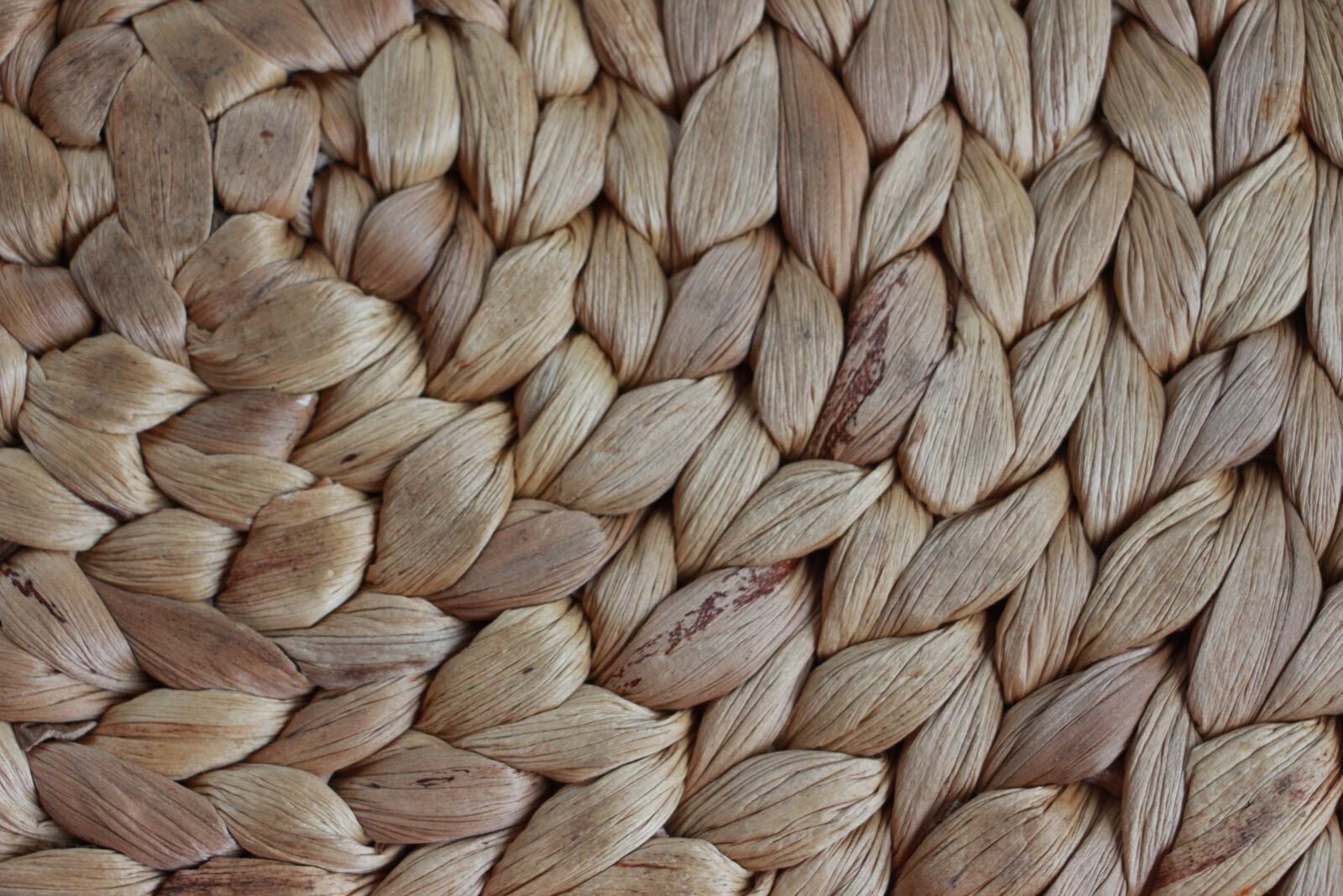 Canon EOS 700D (EOS Rebel T5i / EOS Kiss X7i) sample photo. Sample, abstract, structure photography