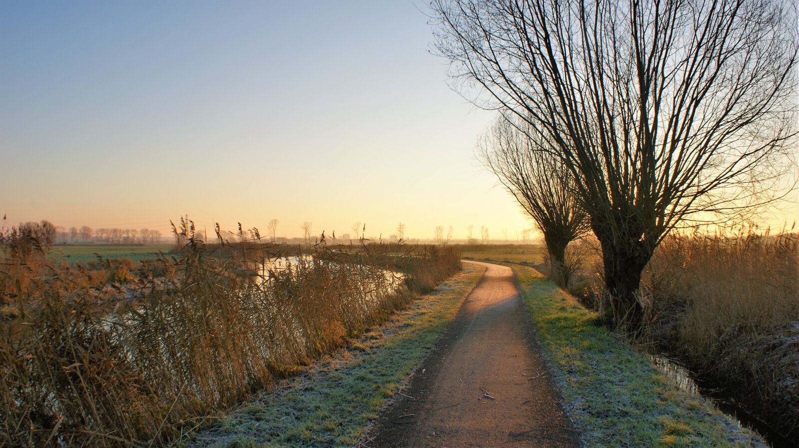 Sony Alpha DSLR-A350 sample photo. Sunrise, sun, morning photography