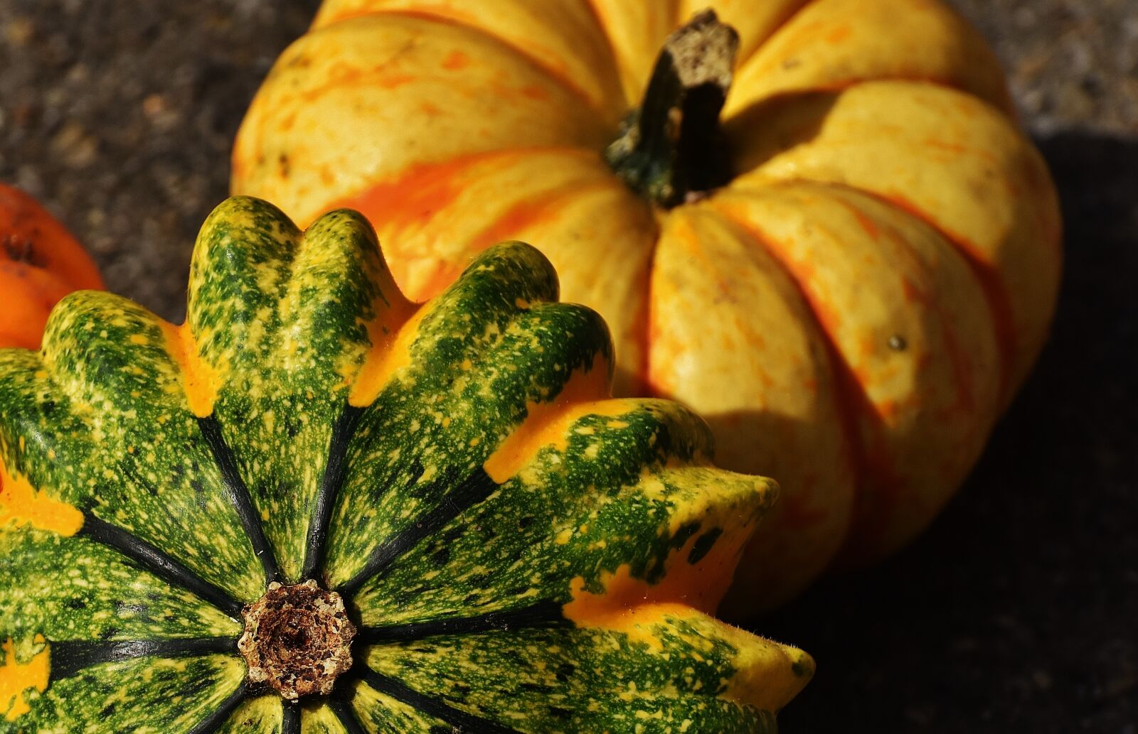 Nikon D7200 sample photo. Pumpkins, decorative squashes, nature photography