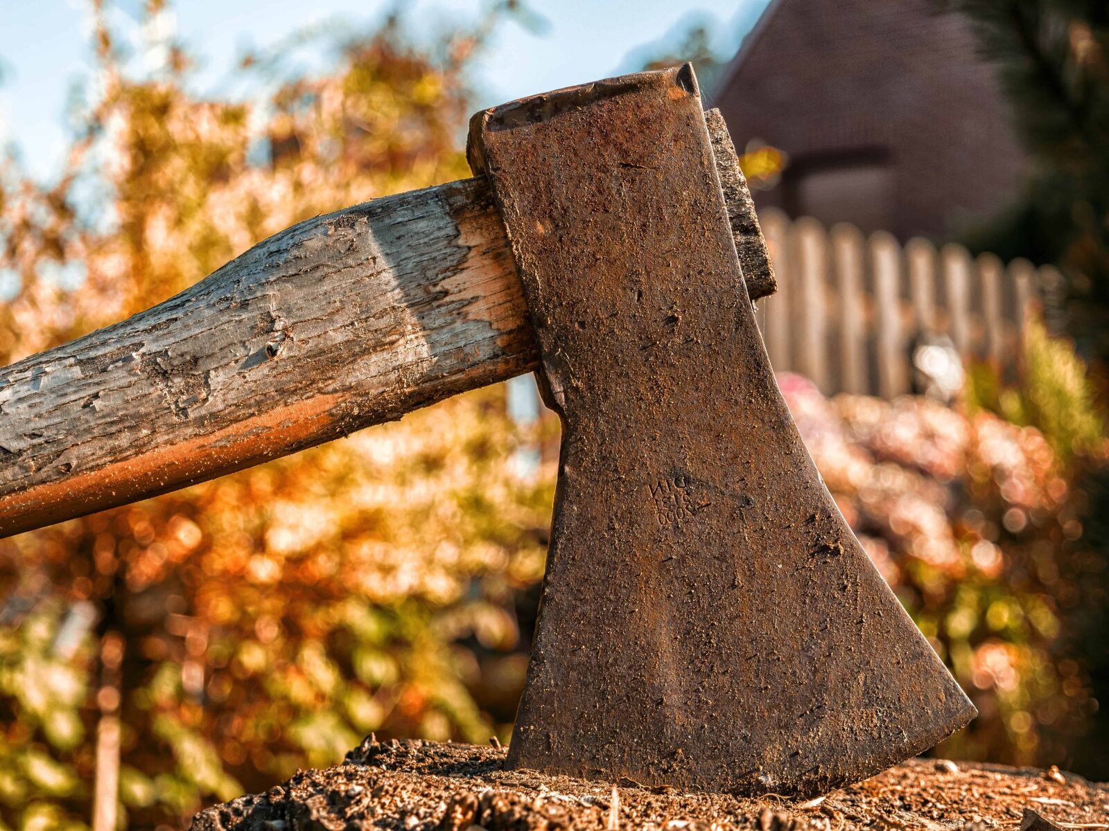 Nikon D3300 sample photo. Tool, ax, wood, metal photography