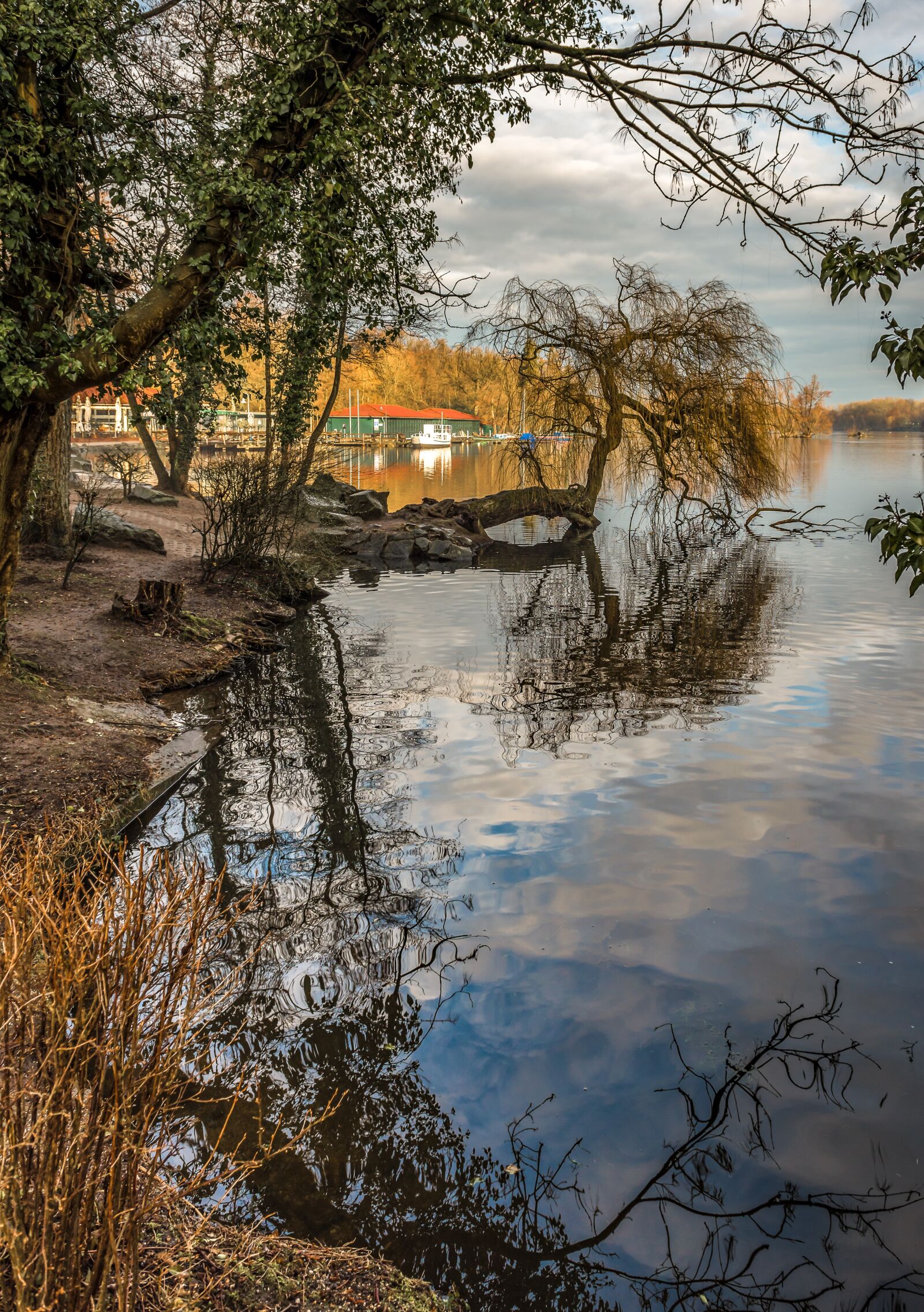 Nikon D750 sample photo. Sunrise, lake, water photography