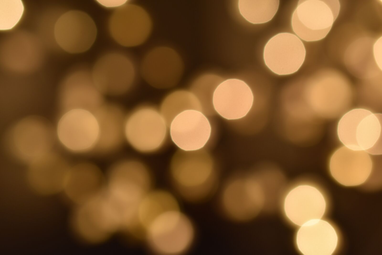 Nikon D5600 sample photo. Bokeh, light, texture photography