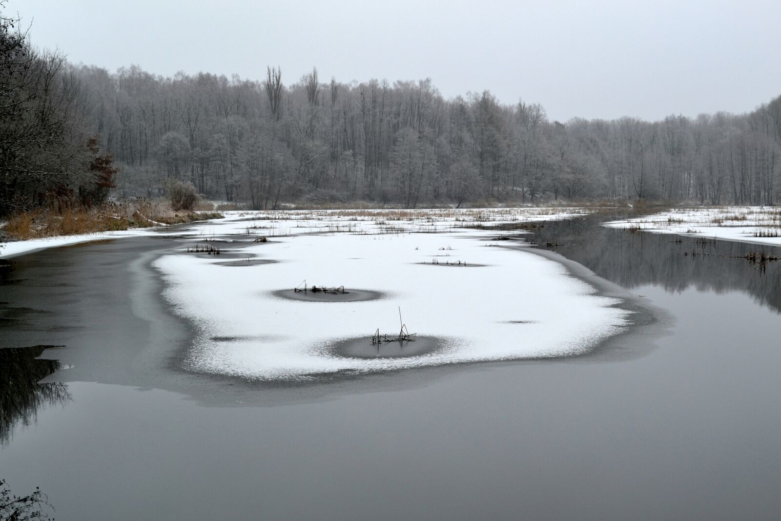 Nikon D3100 sample photo. Winter, snow, landscape photography