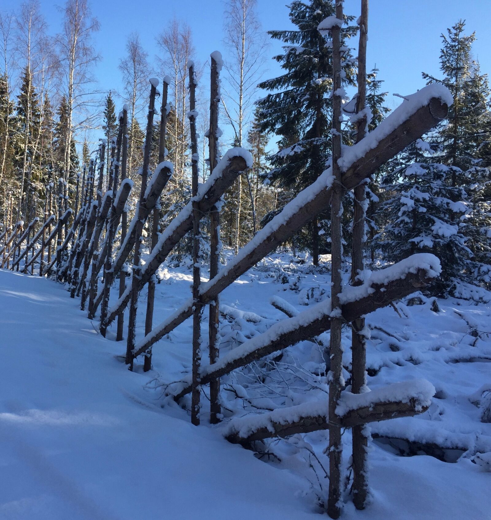 iPhone 6 Plus back camera 4.15mm f/2.2 sample photo. Snow, winter, the garden photography