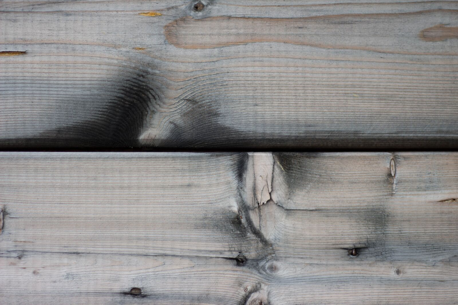 Canon EF 50mm F1.8 STM sample photo. Wood, wooden, texture photography