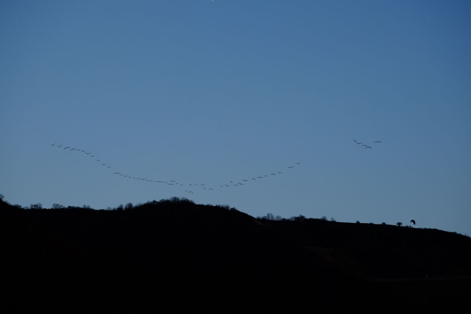 Fujifilm X-E1 + Fujifilm XC 50-230mm F4.5-6.7 OIS sample photo. Flock of birds, flying photography