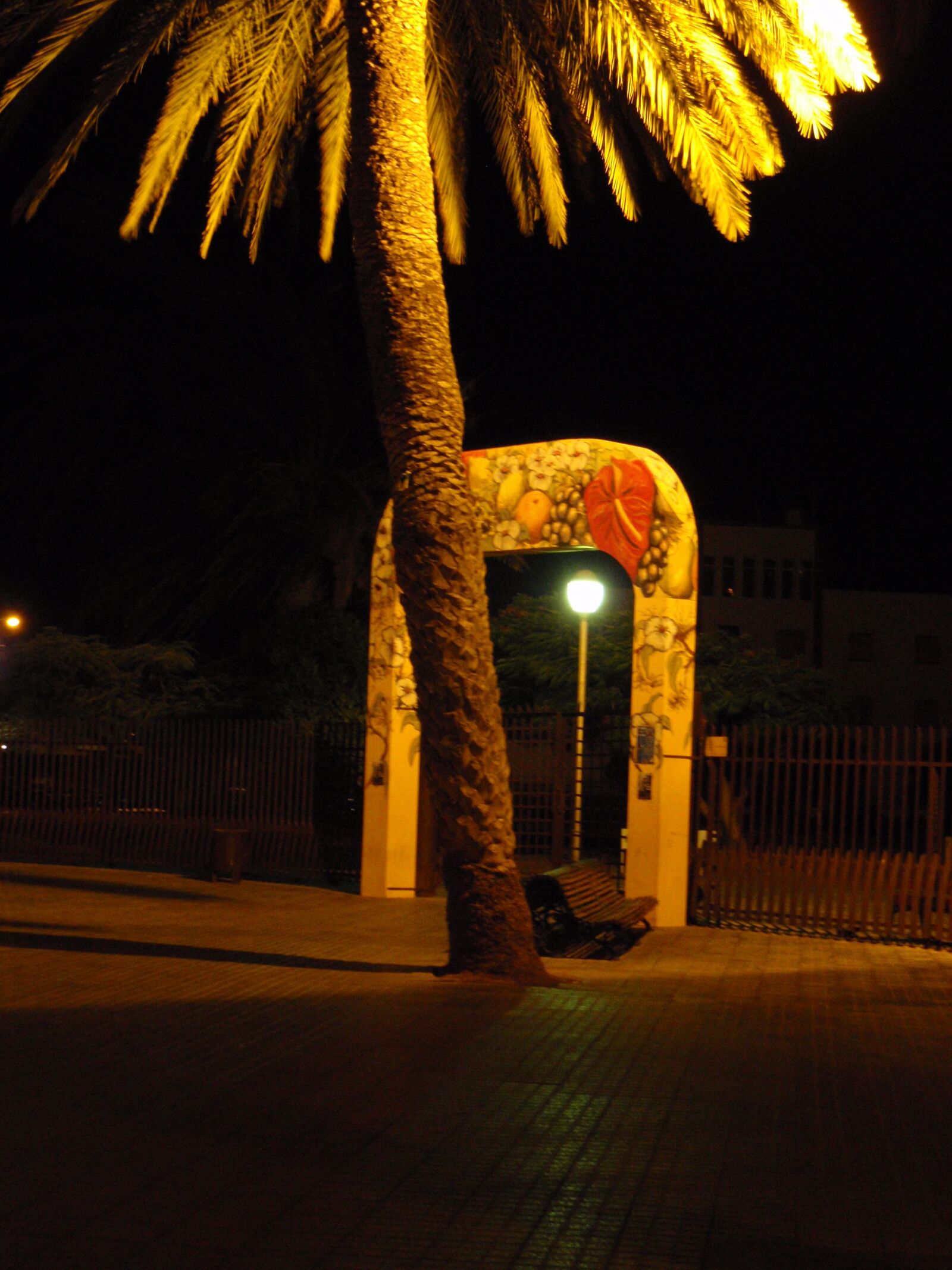 Olympus u9000,S9000 sample photo. Lagomera, palma, bus stop photography