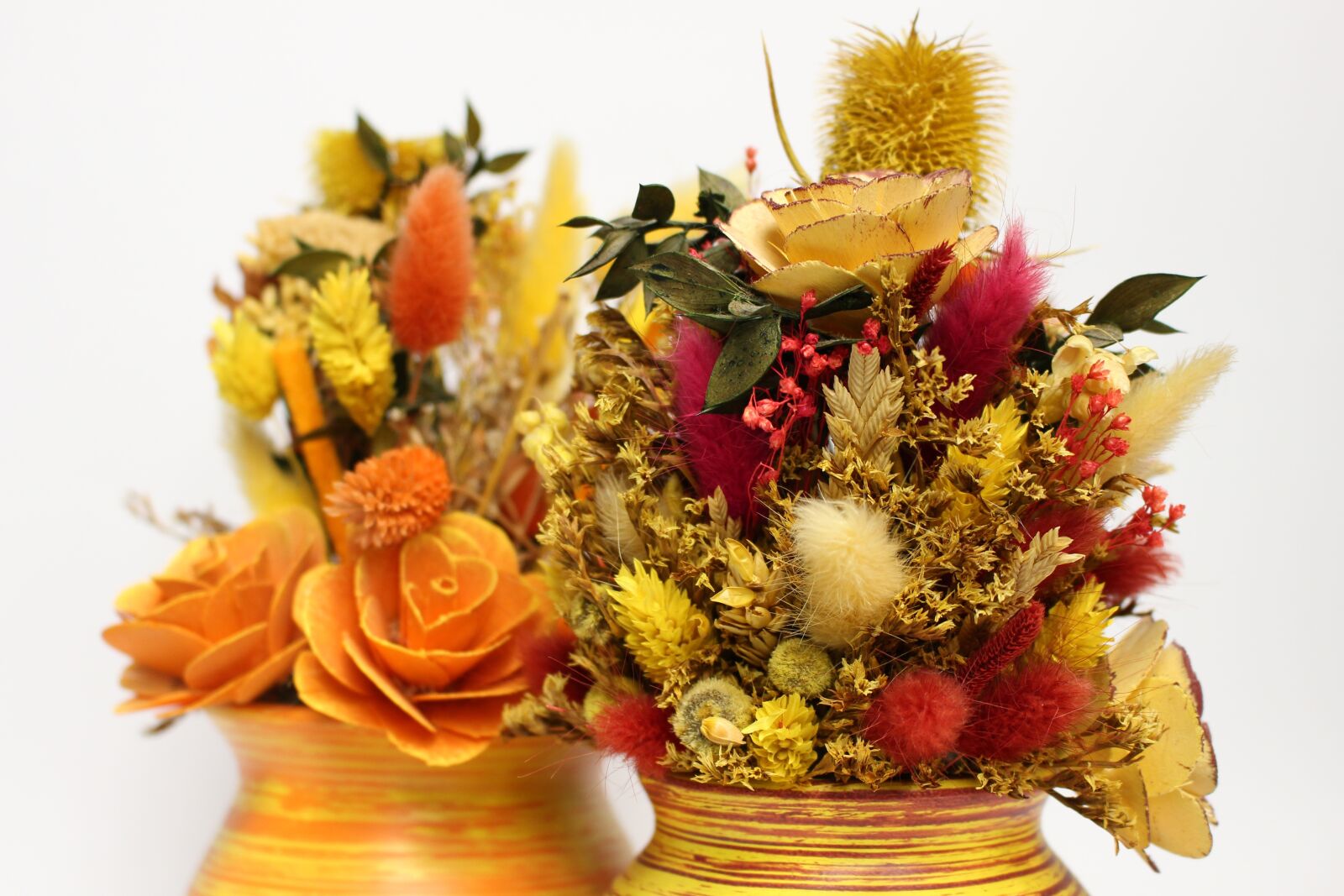 Canon EOS 100D (EOS Rebel SL1 / EOS Kiss X7) sample photo. Decoration, dried grasses, flowers photography