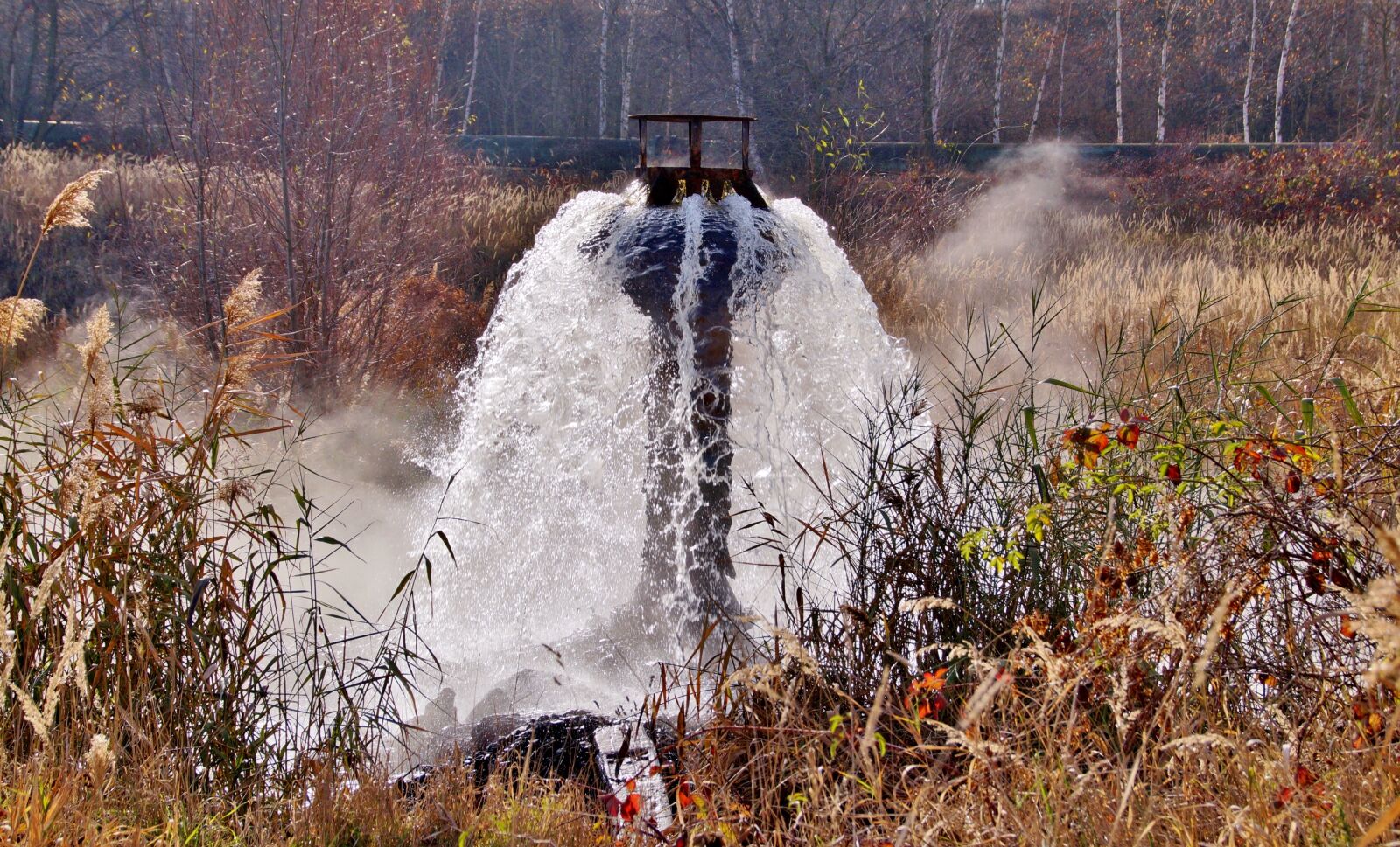 Sony SLT-A58 sample photo. Drains, water, underground photography