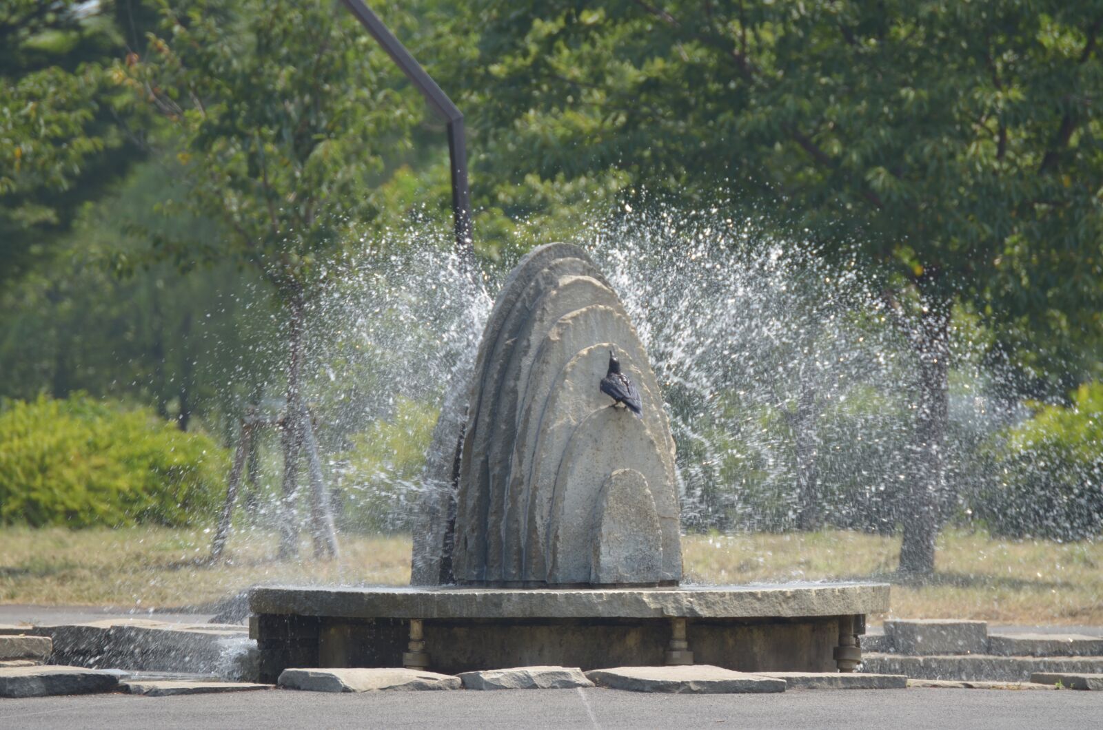 Nikon D7000 sample photo. Fountain, park, water photography