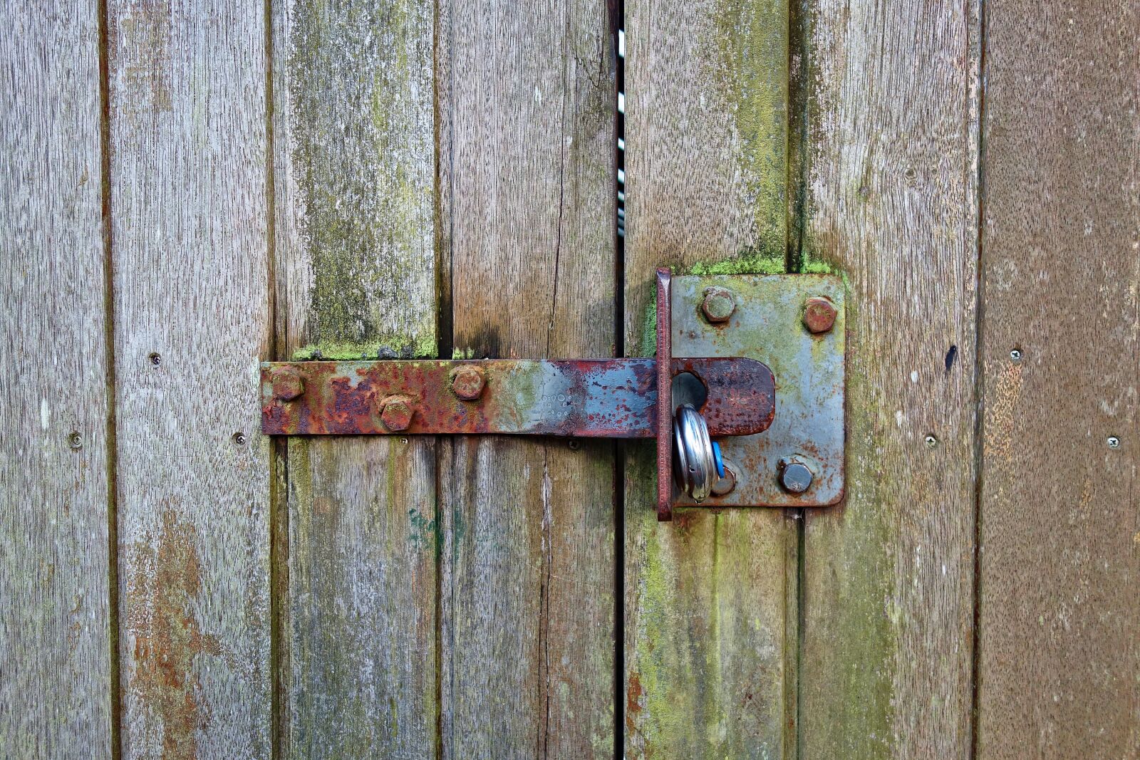 Sony Cyber-shot DSC-RX100 sample photo. Lock, latch, rusty photography