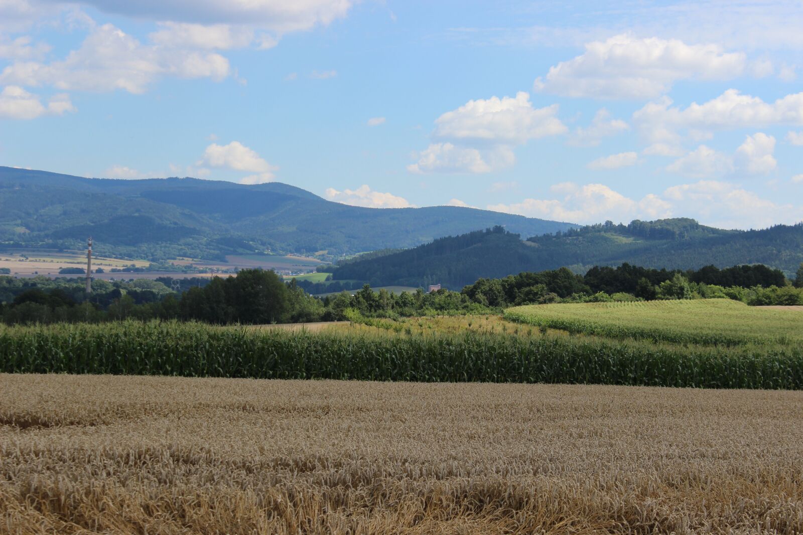 Canon EOS 600D (Rebel EOS T3i / EOS Kiss X5) sample photo. Landscape, field, heaven photography
