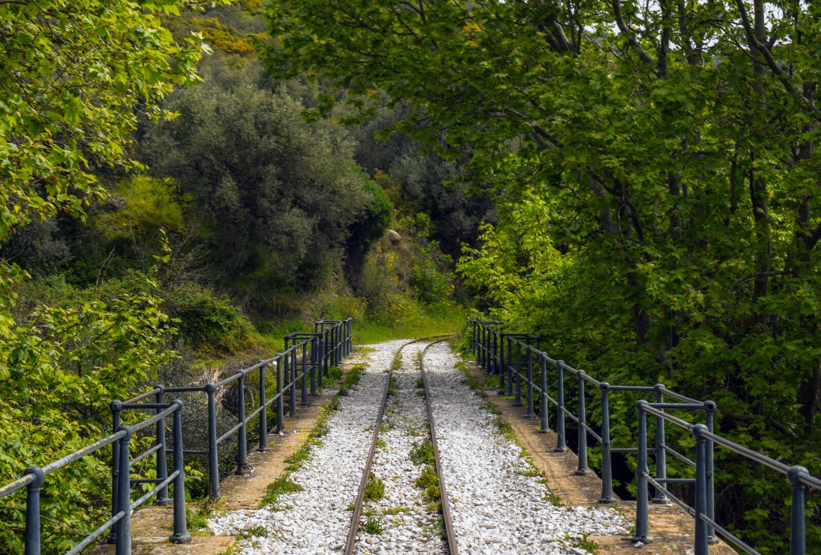 Nikon D3300 sample photo. Rails, railway, scenery photography