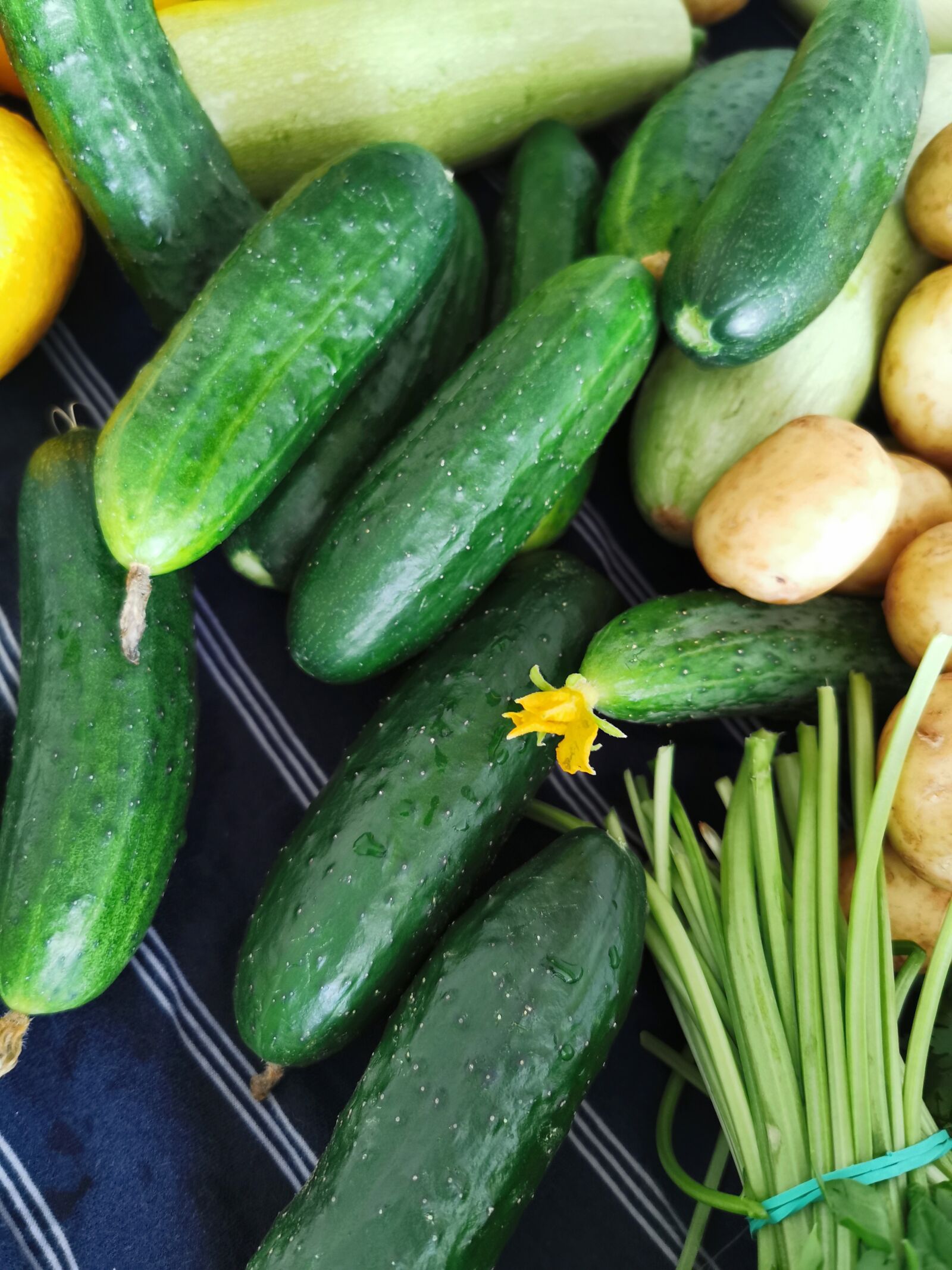 HUAWEI P30 Pro sample photo. Vegetables, cucumbers, greens photography
