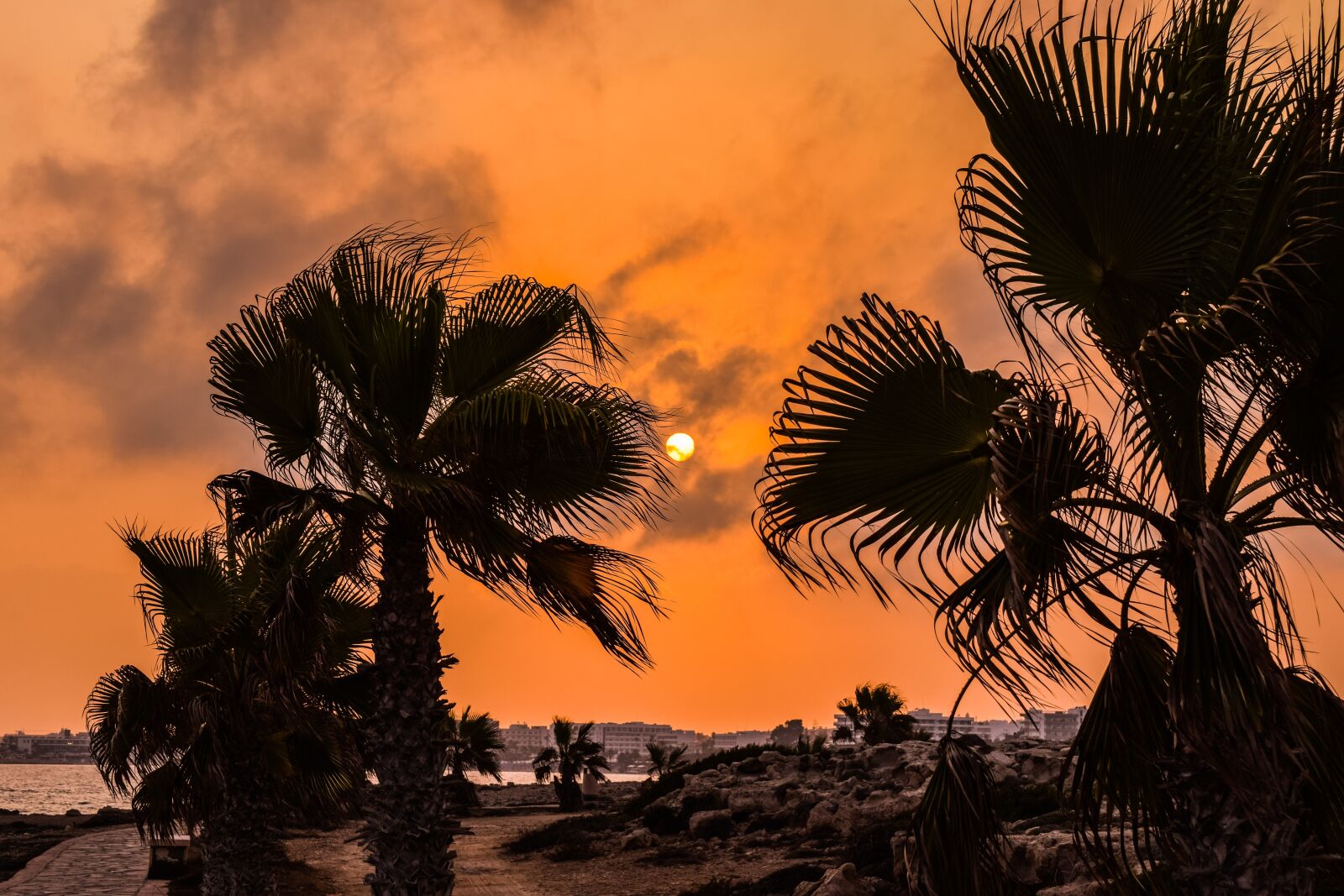 Nikon D3300 sample photo. Palm trees, sunset, sun photography
