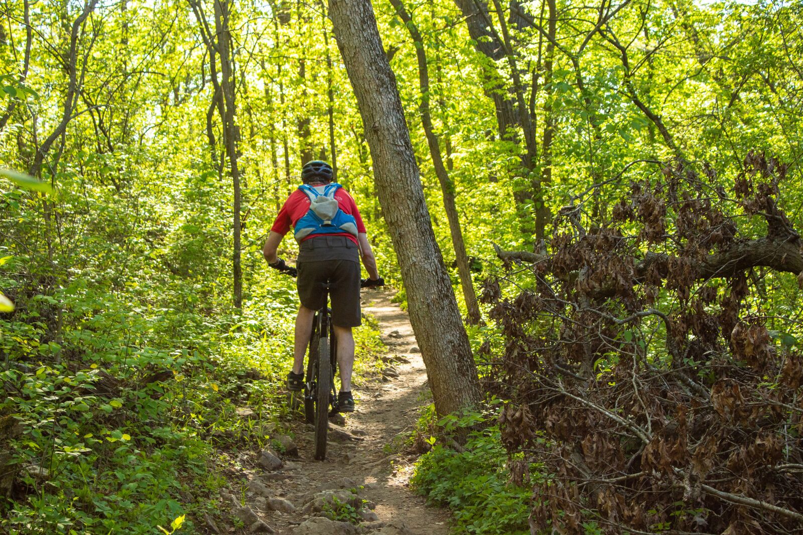 Canon EOS 1300D (EOS Rebel T6 / EOS Kiss X80) sample photo. Mountain bike, cycling, exercise photography