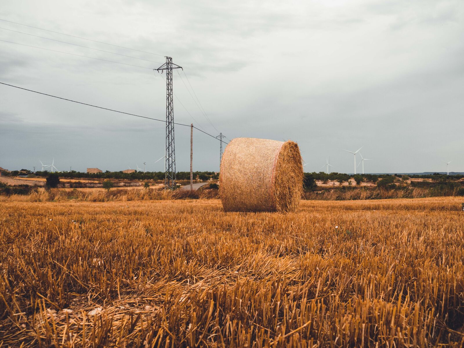 Olympus OM-D E-M5 II sample photo. Rural, almatret, lleida photography