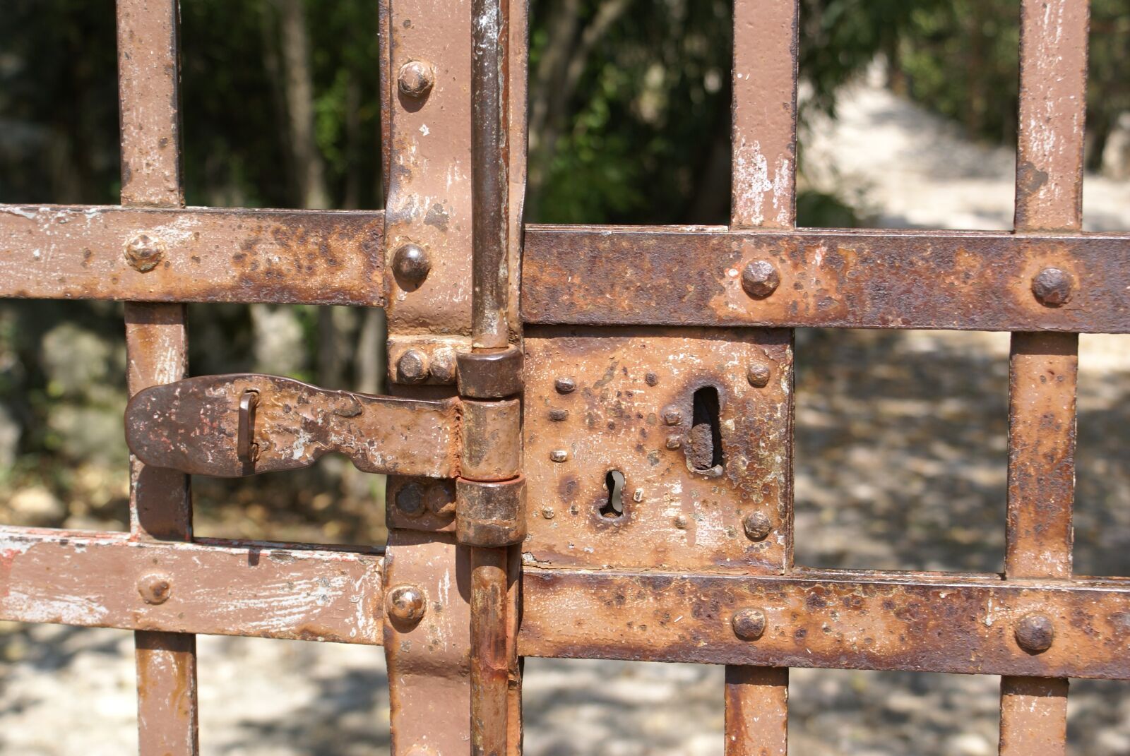 Sony Alpha DSLR-A100 sample photo. Door lock, goal, input photography