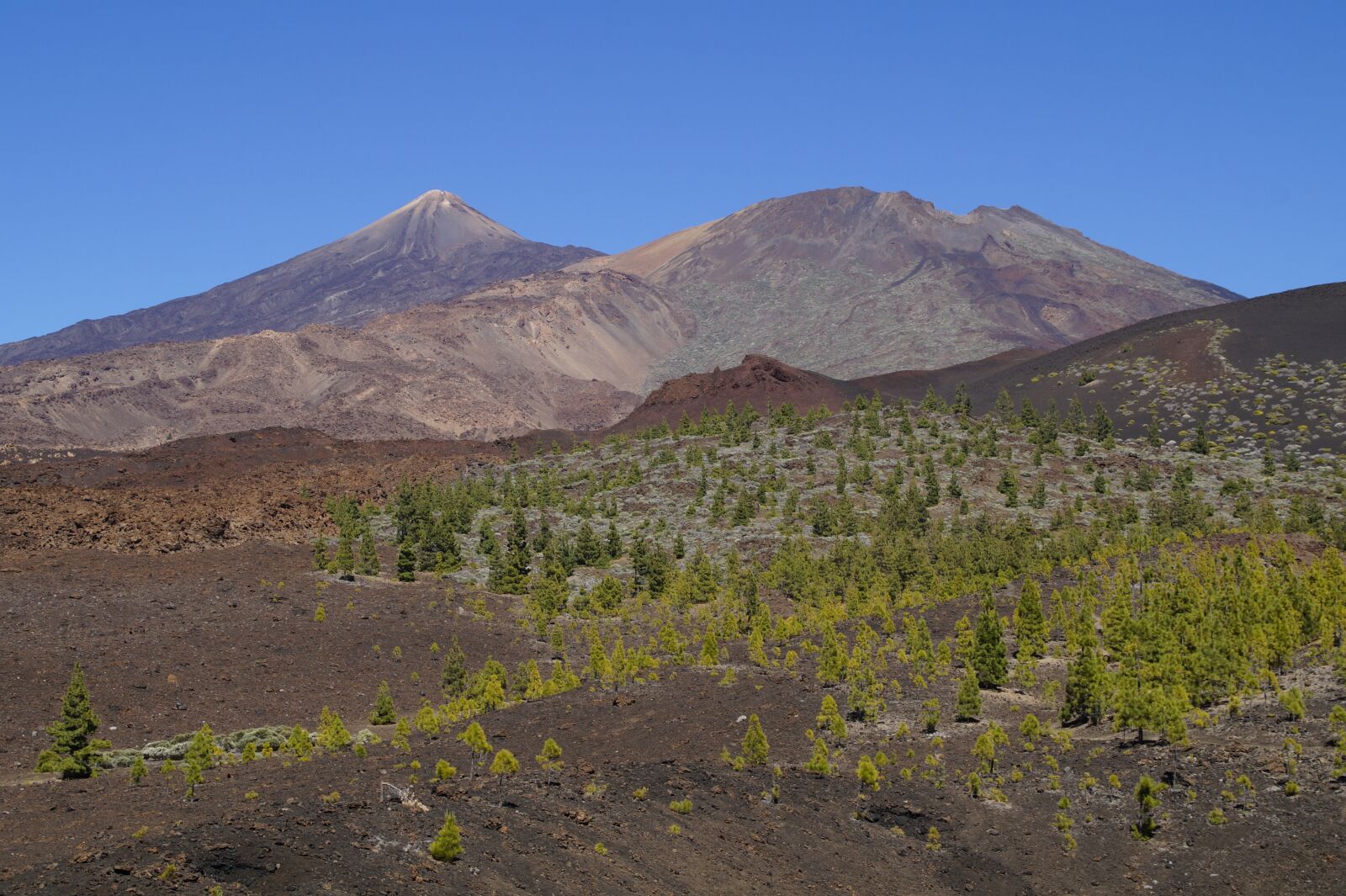 Sony SLT-A58 sample photo. Teide national park, national photography