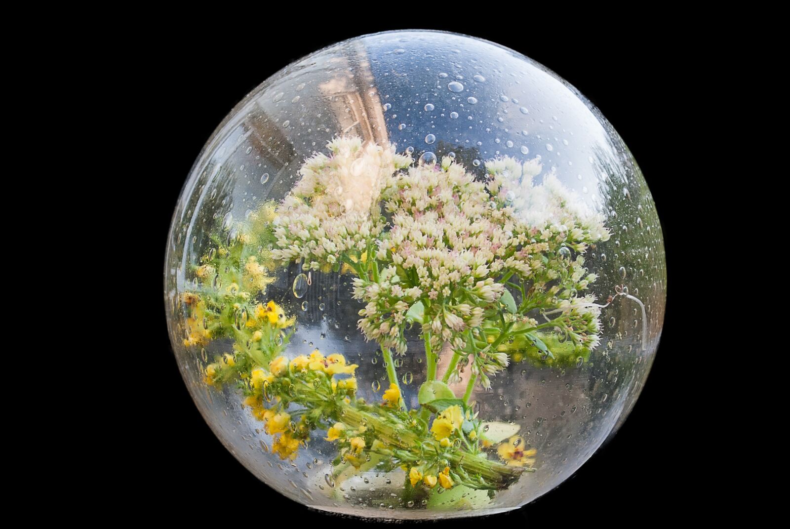 Nikon D3000 sample photo. Creative, glass, bol photography