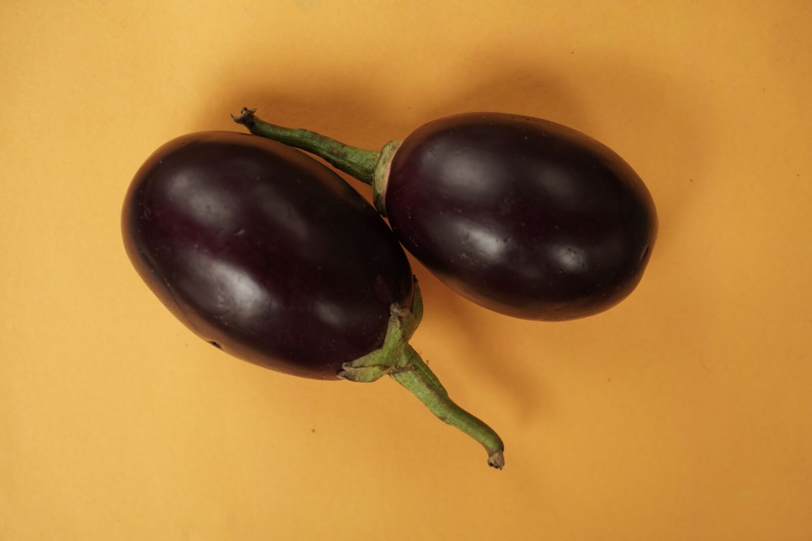 Sony Vario Tessar T* FE 24-70mm F4 ZA OSS sample photo. Eggplant, white background, cut photography