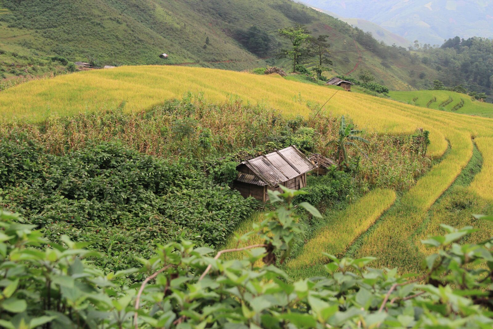 Canon EOS 7D sample photo. Moutain, house, morning photography