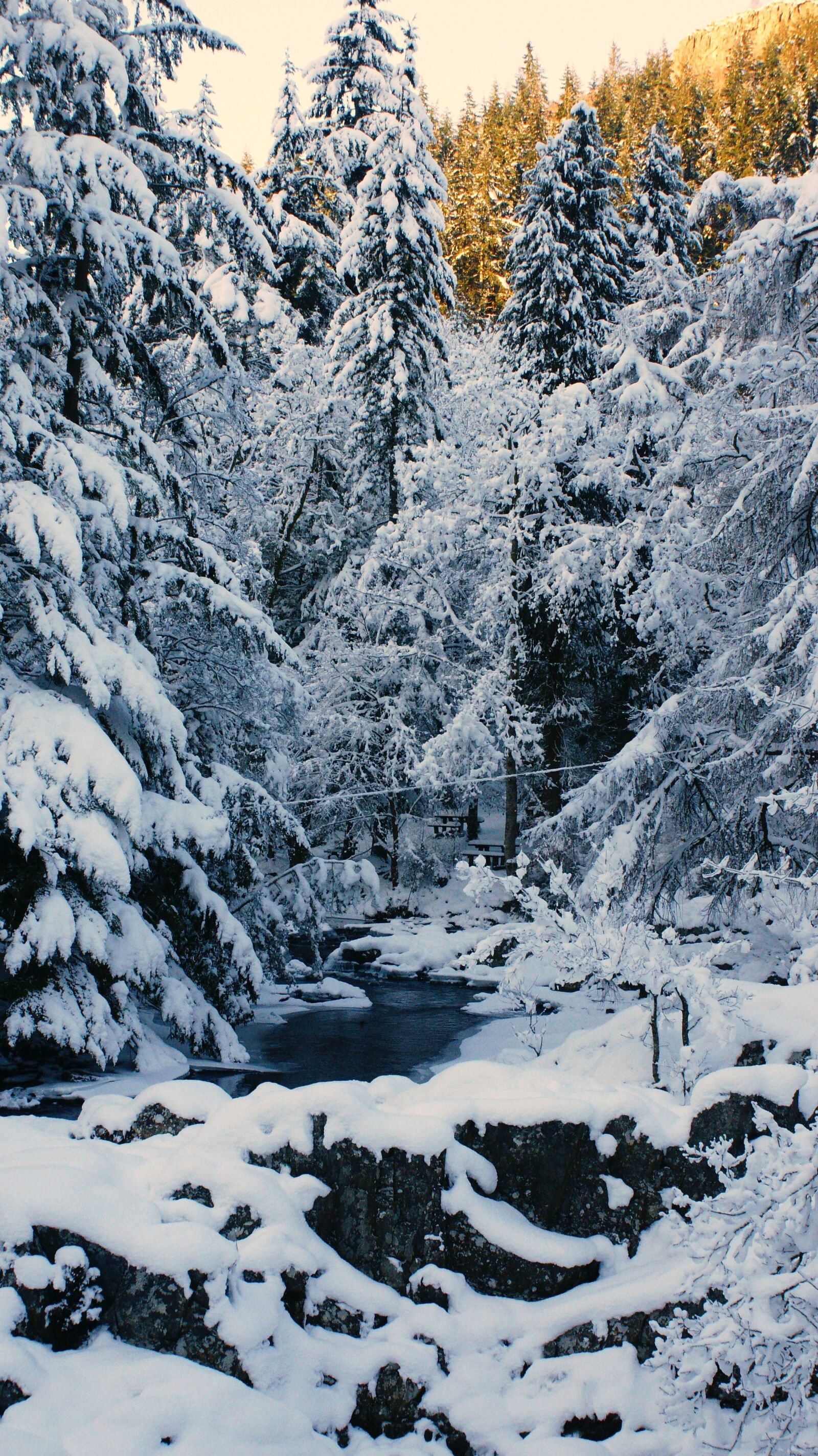Sony Alpha DSLR-A700 sample photo. Snow, rocks, nature photography