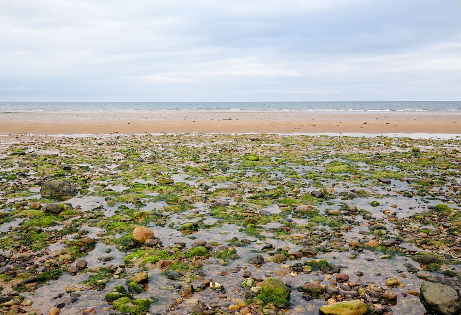 Canon EOS 6D + Canon EF 16-35mm F4L IS USM sample photo. Scotland, sea, beach photography