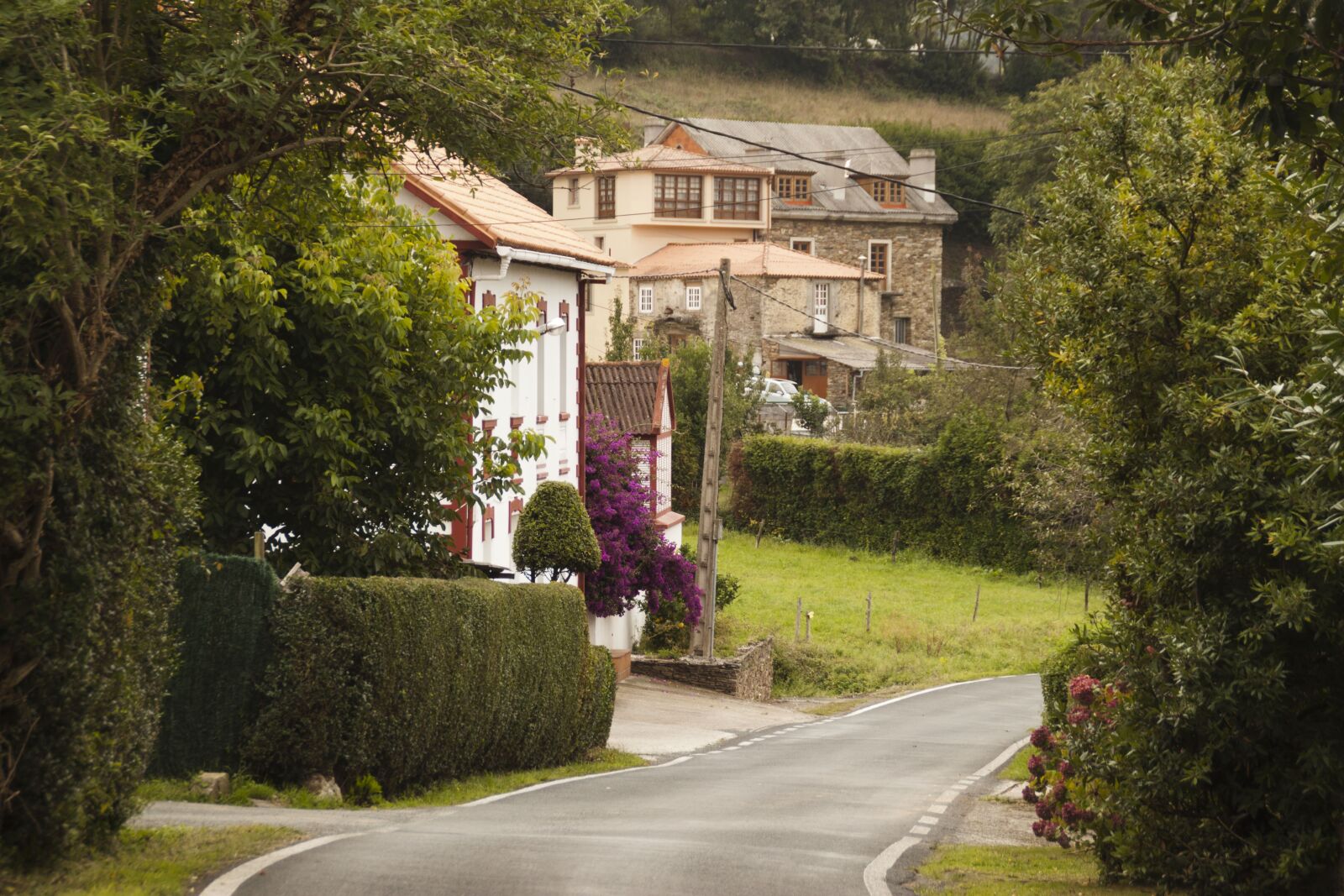 Canon EOS 500D (EOS Rebel T1i / EOS Kiss X3) sample photo. Town, galicia, nature photography