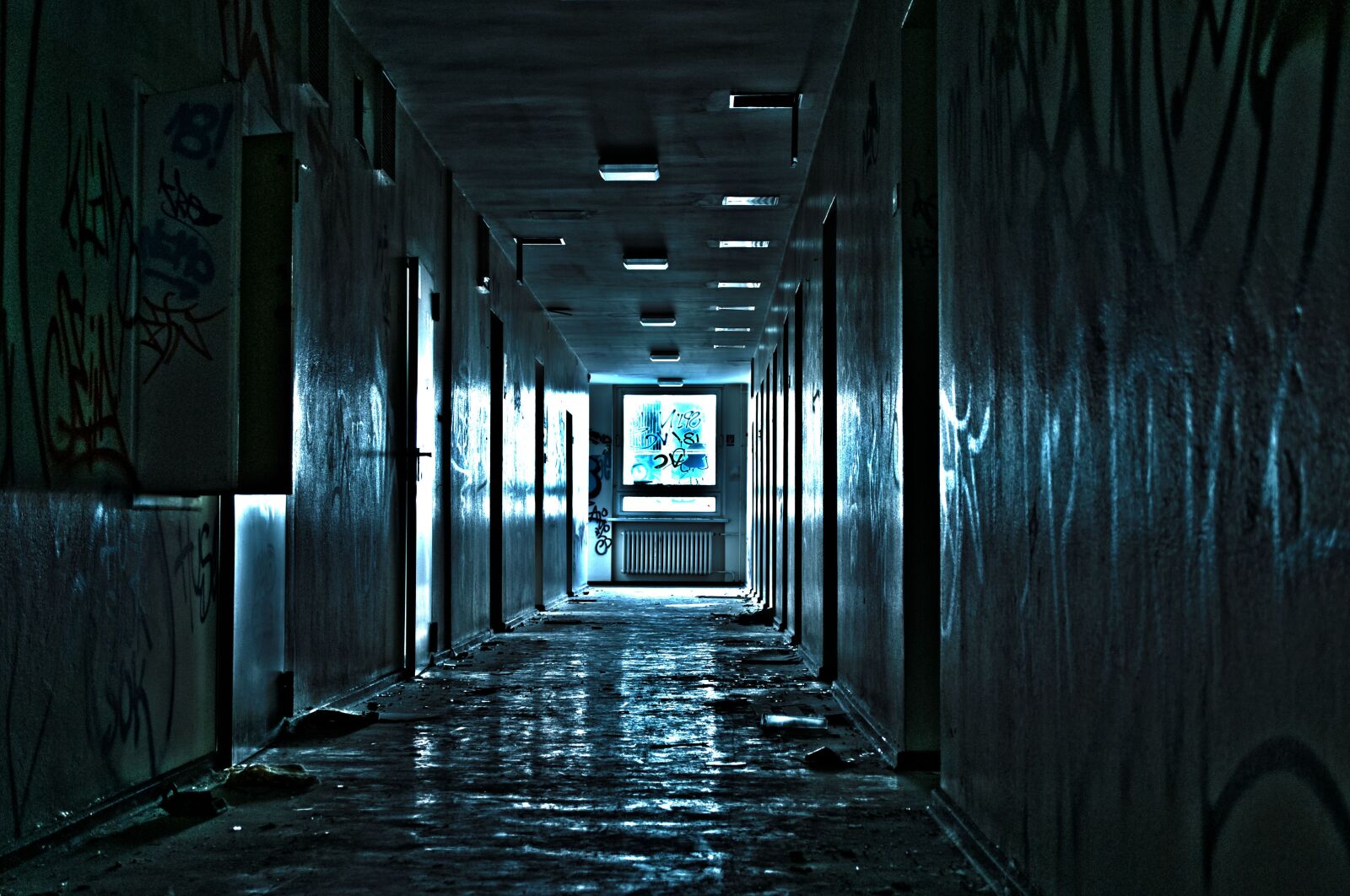 Nikon D300 sample photo. Light, gang, faculty anatomy photography