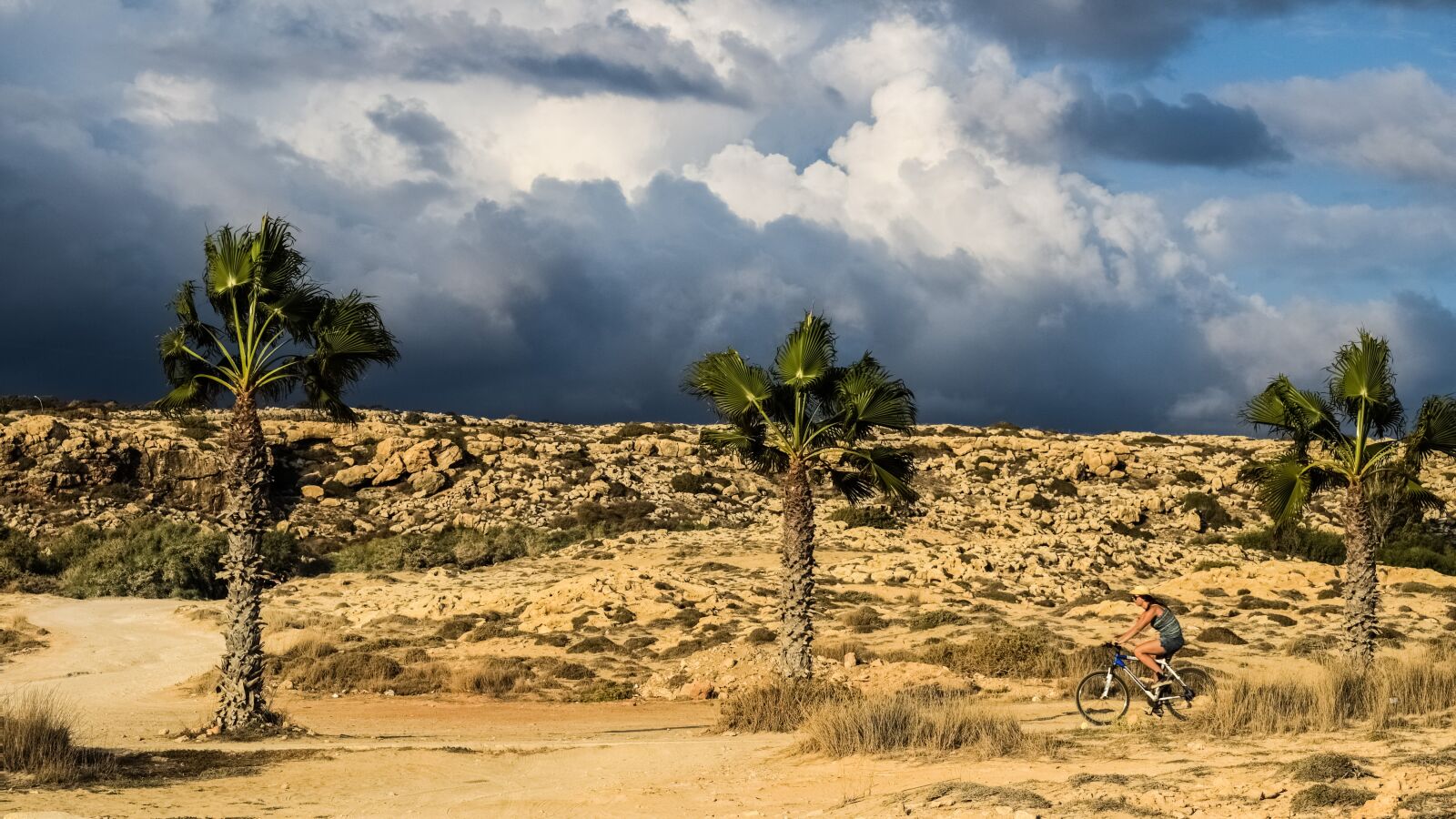 Nikon D3300 sample photo. Palm trees, sky, clouds photography