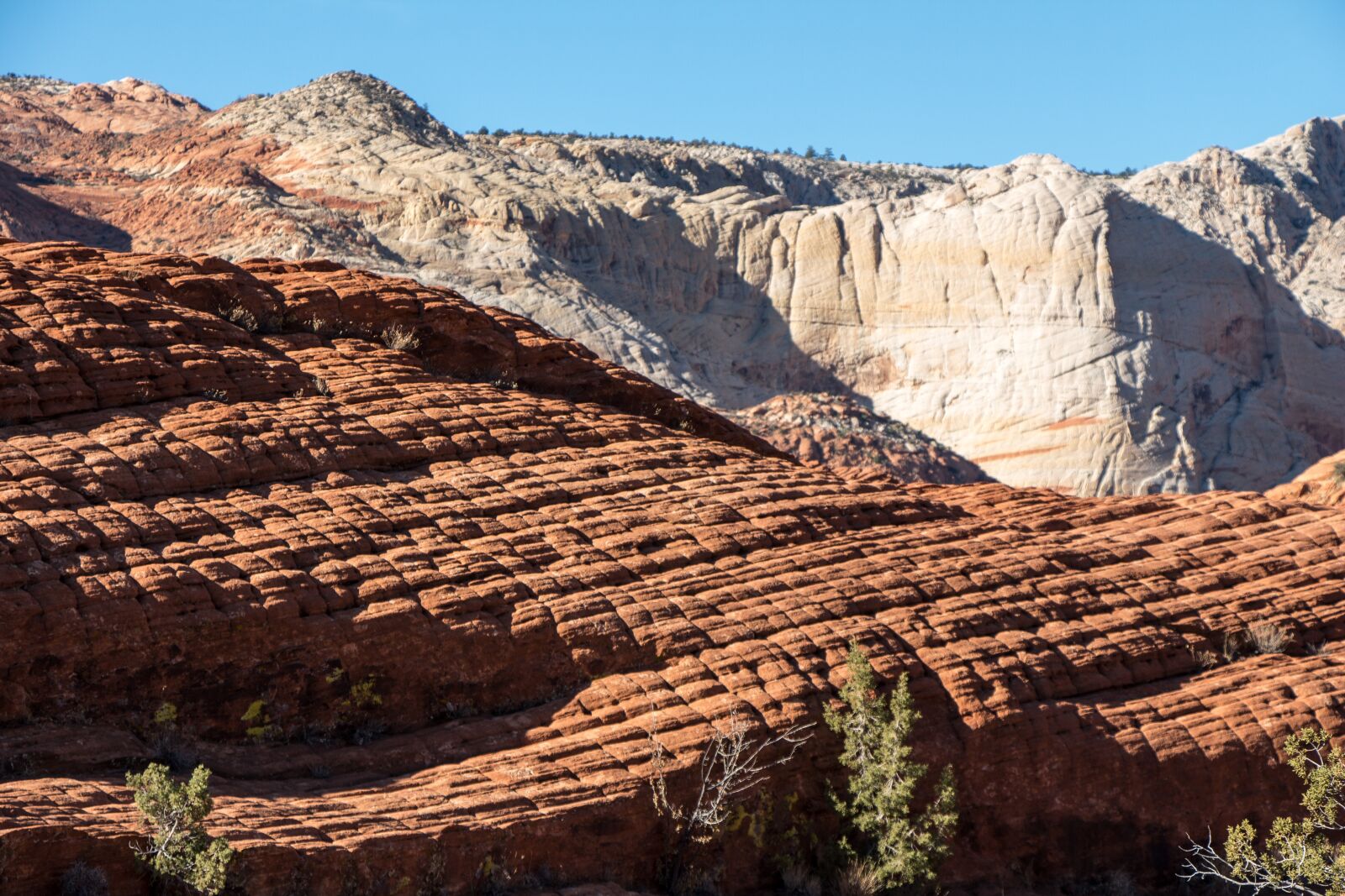 Canon EOS 650D (EOS Rebel T4i / EOS Kiss X6i) sample photo. Snow canyon, utah, sandstone photography