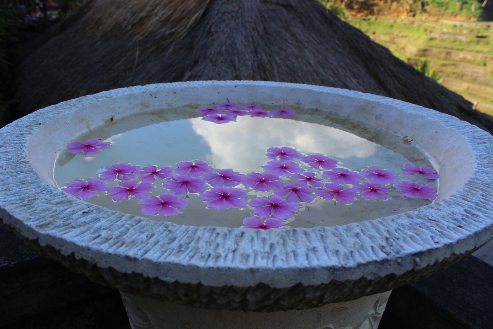 Canon EOS 600D (Rebel EOS T3i / EOS Kiss X5) sample photo. Periwinkle, mirror, water photography