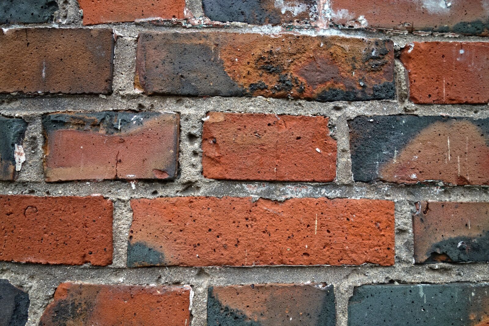 Sony Cyber-shot DSC-RX100 sample photo. Brick wall, brick, wall photography