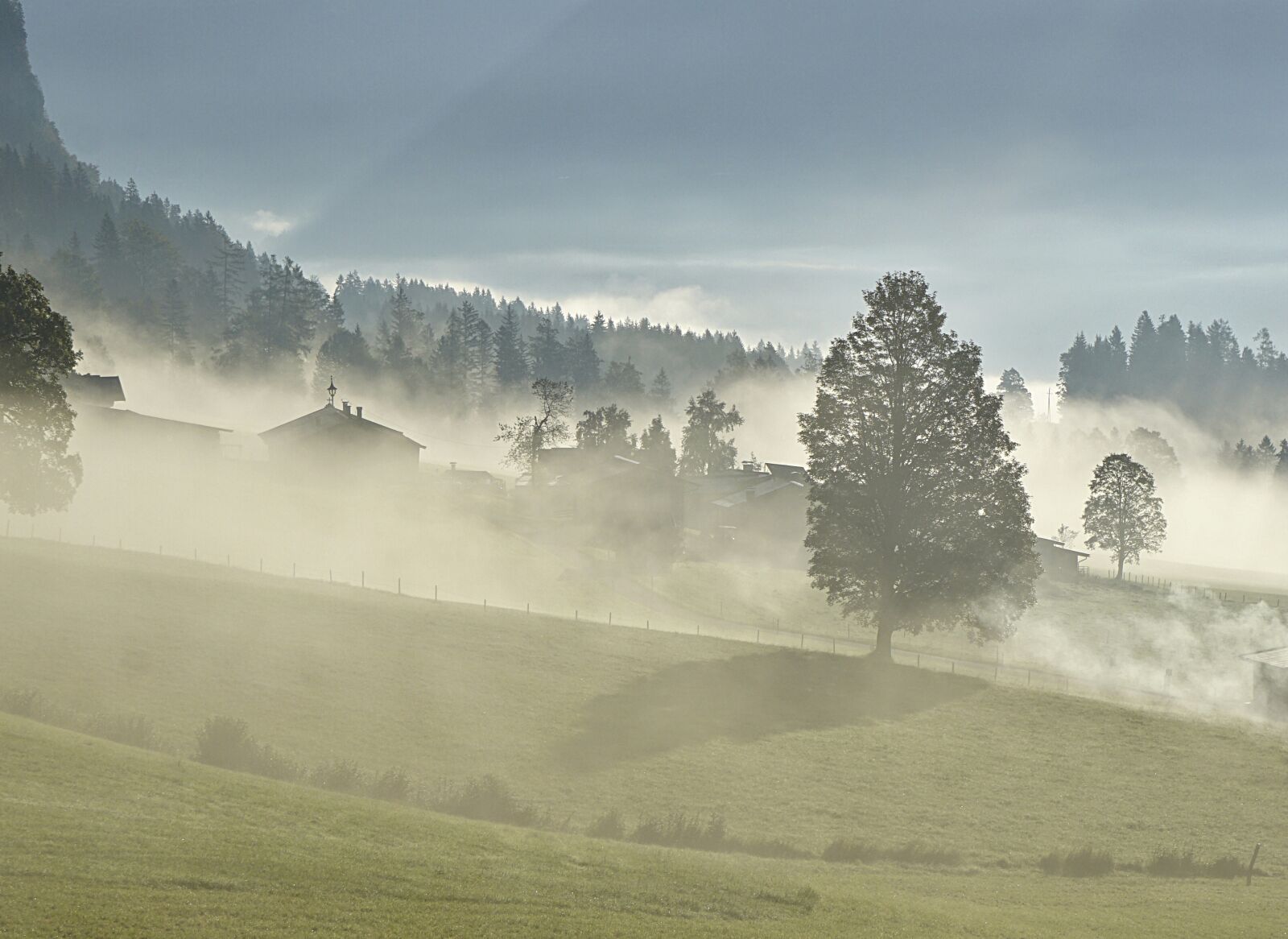 Sony a6000 sample photo. Fog, sunrise, mystical photography