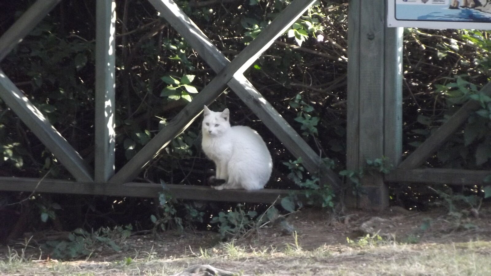 Fujifilm FinePix S2980 sample photo