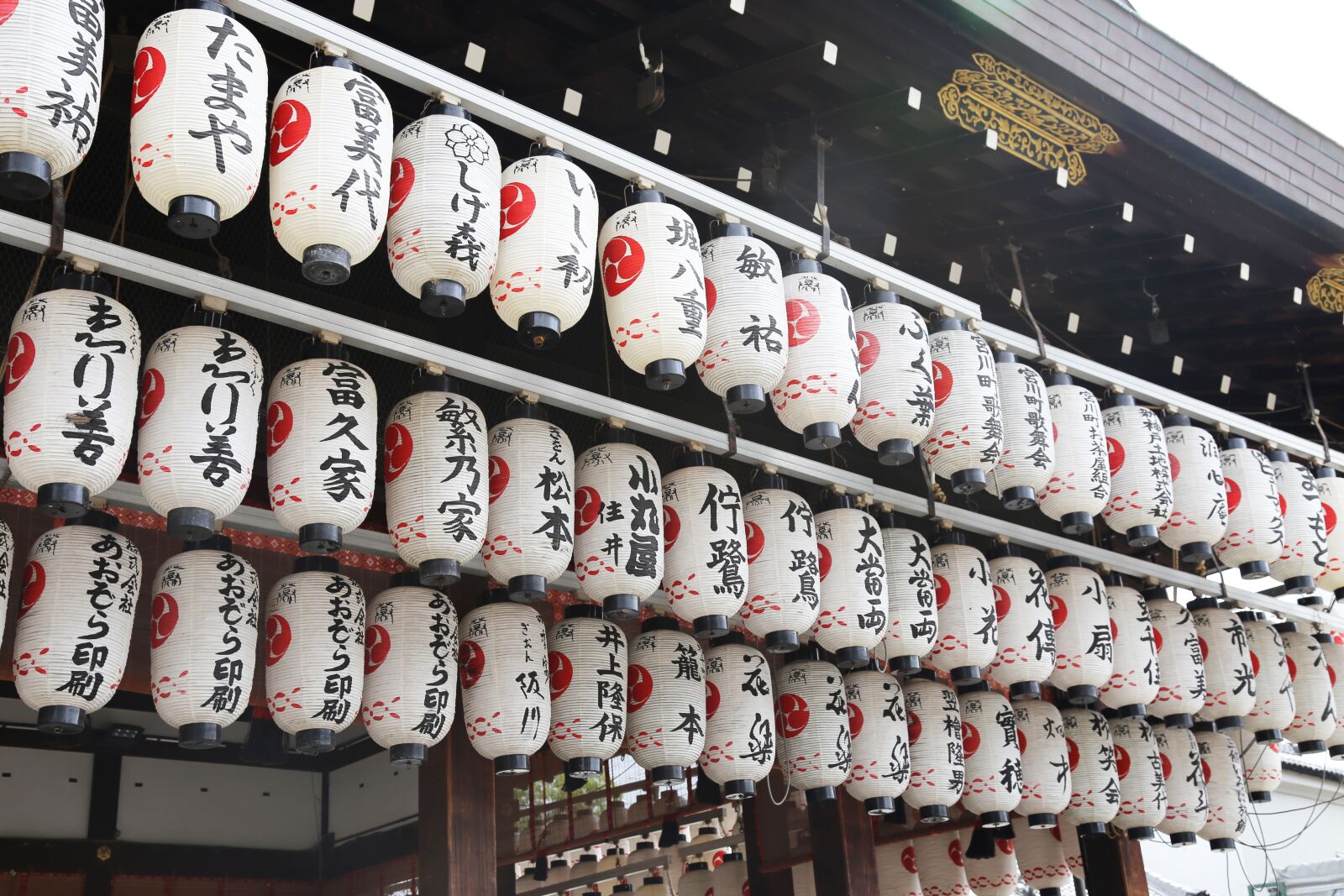 Canon EOS 6D + Canon EF 24-105mm F4L IS USM sample photo. Japanese, tokyo, japan photography