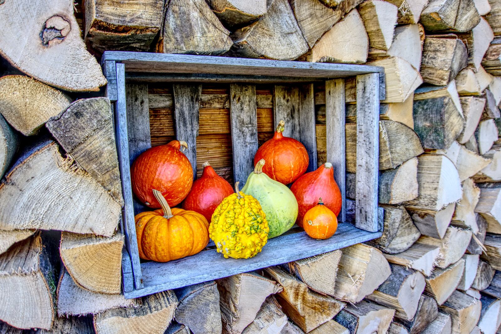 Sony a6000 sample photo. Pumpkin, hokkaido, food photography