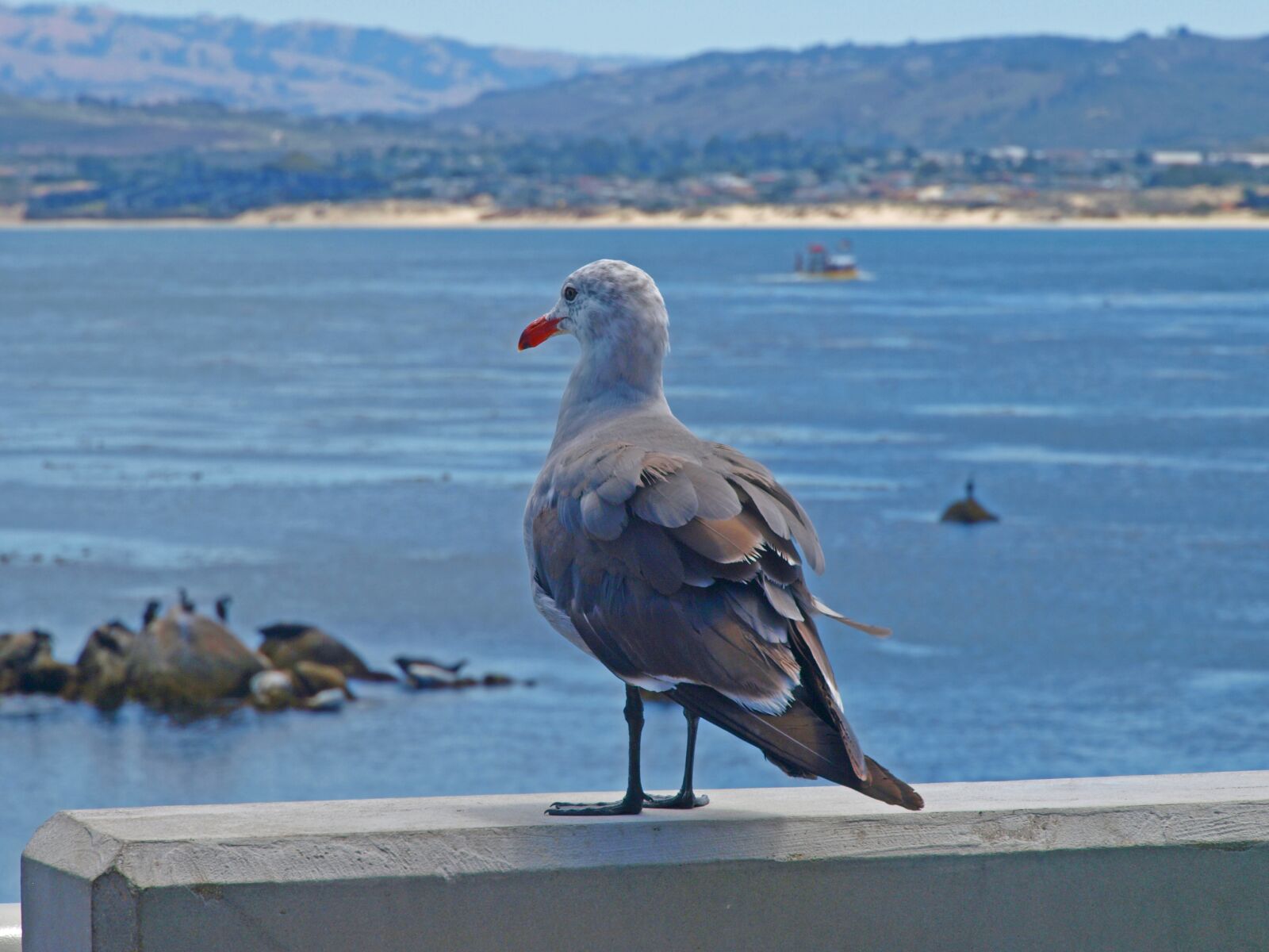 Olympus E-3 sample photo. Water, sea, nature photography