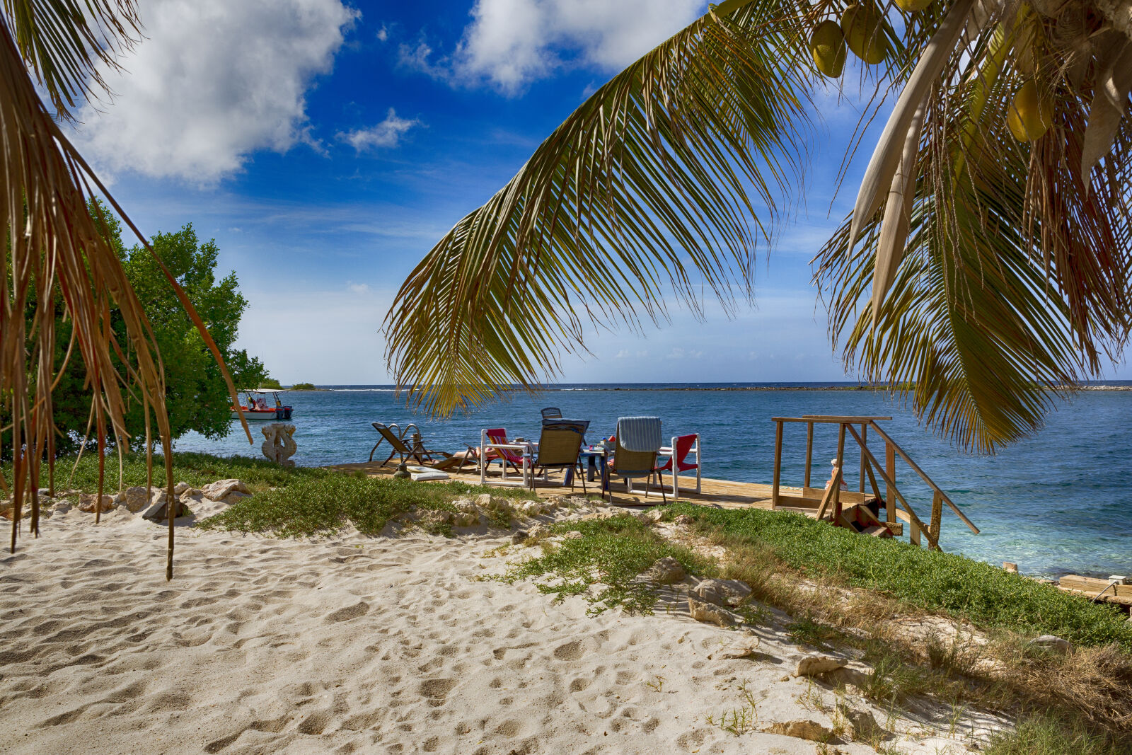 Canon EF 24-70mm F2.8L USM sample photo. Coral, reef, beach photography