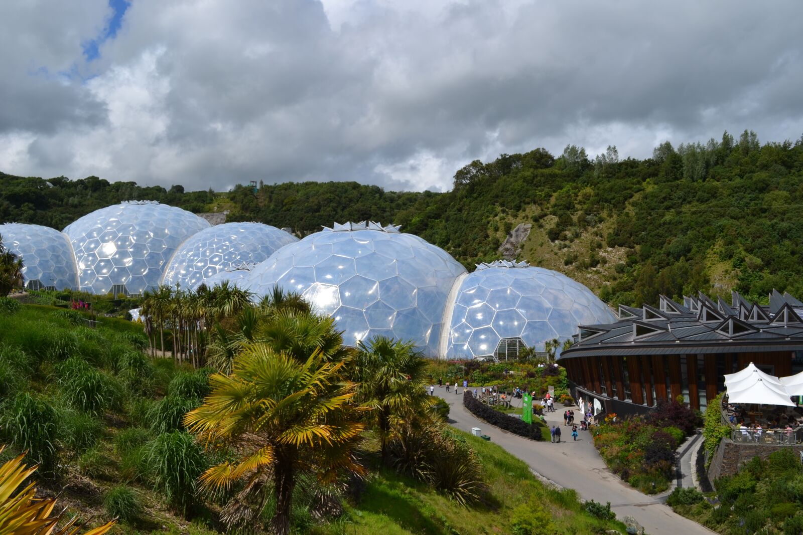 Nikon D3100 sample photo. Eden, project, cornwall photography
