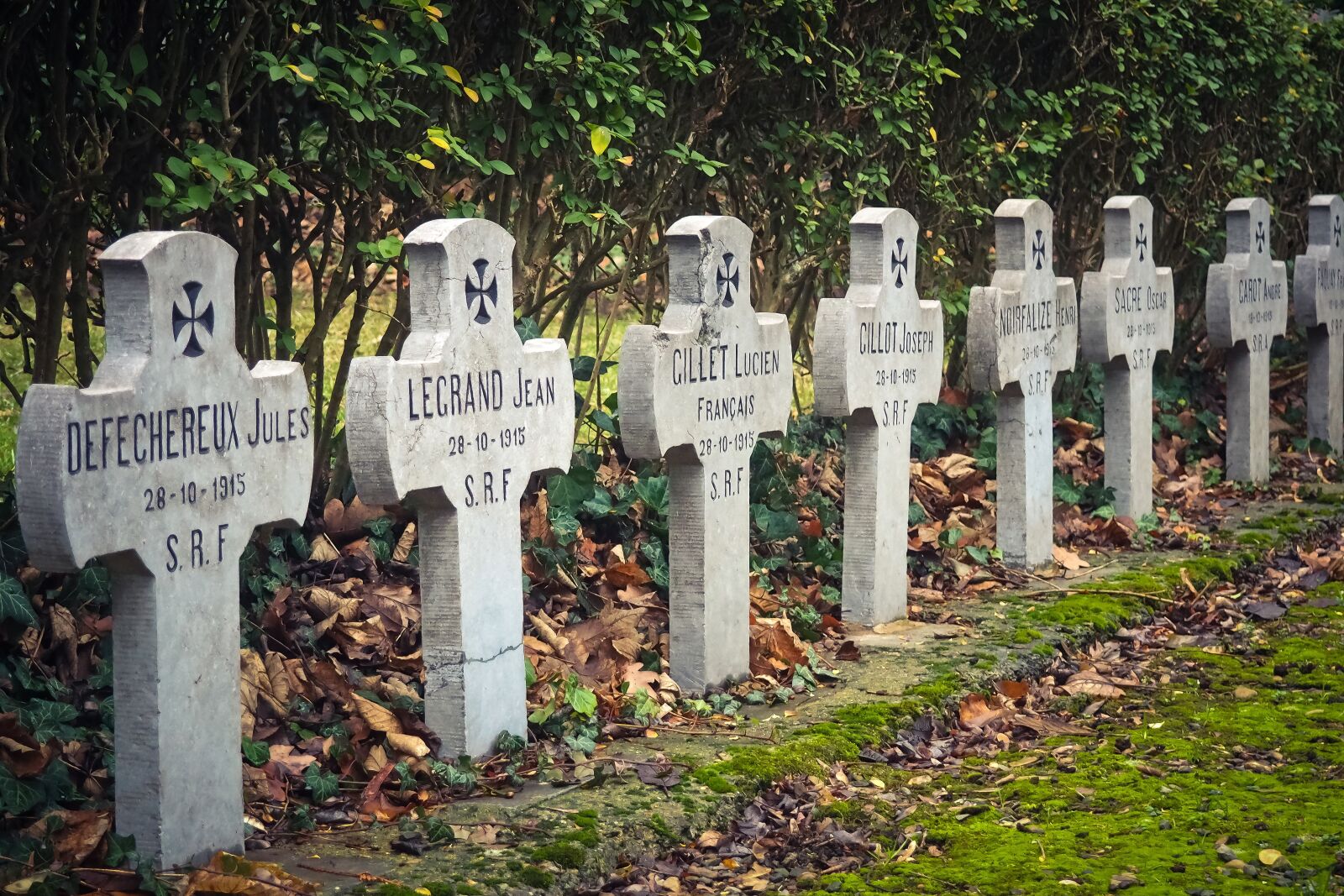 Olympus OM-D E-M10 sample photo. Cemetery, military, memorial photography