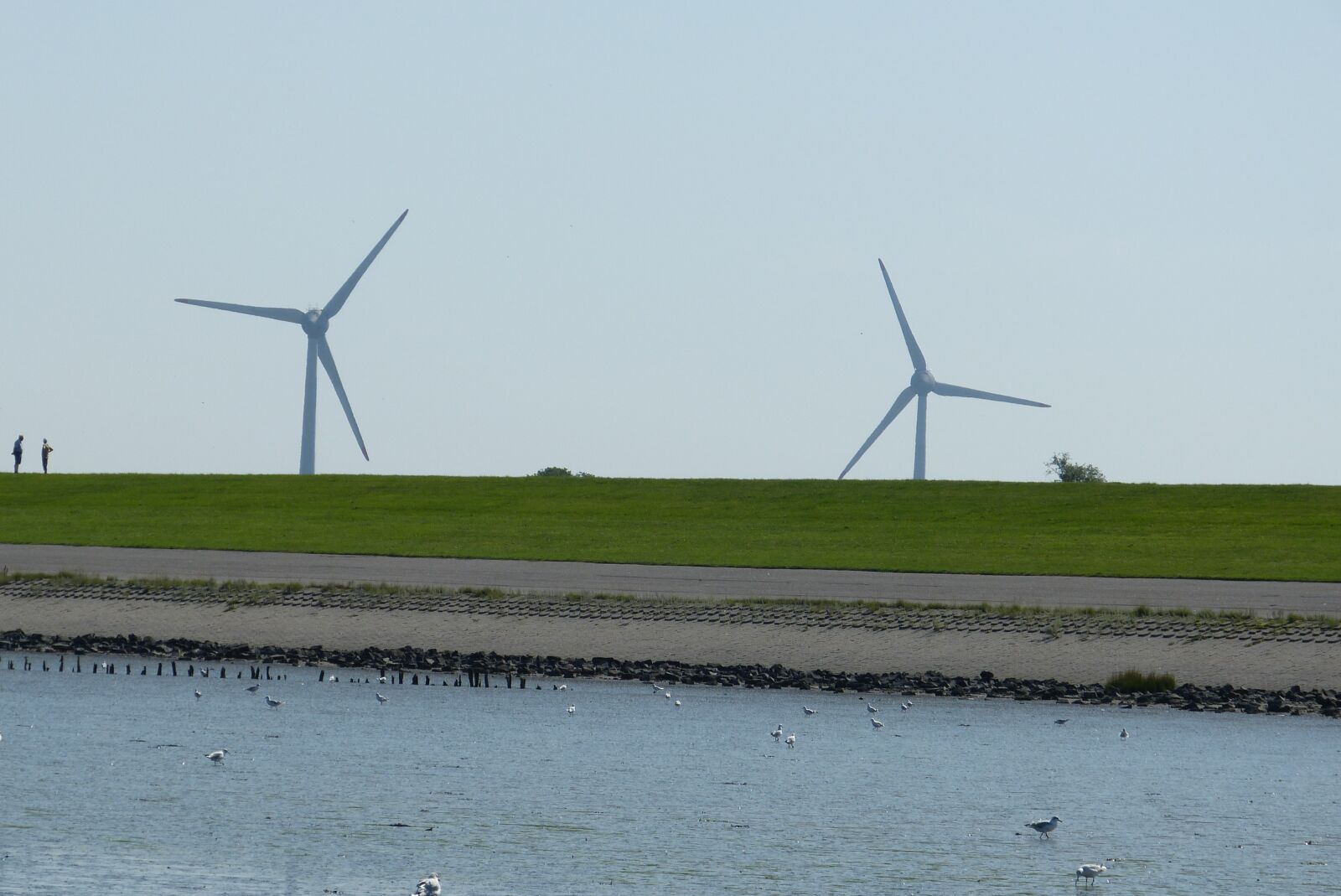 Panasonic Lumix DMC-FZ150 sample photo. Nature, wind turbine, waters photography