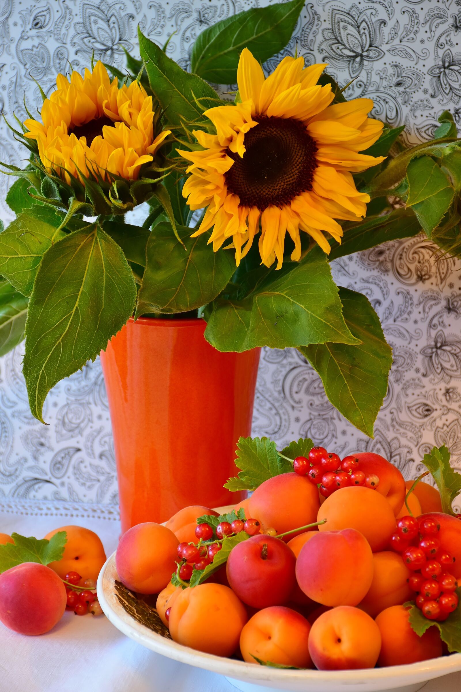 Nikon D7200 sample photo. Apricots, sunflower, fruit photography