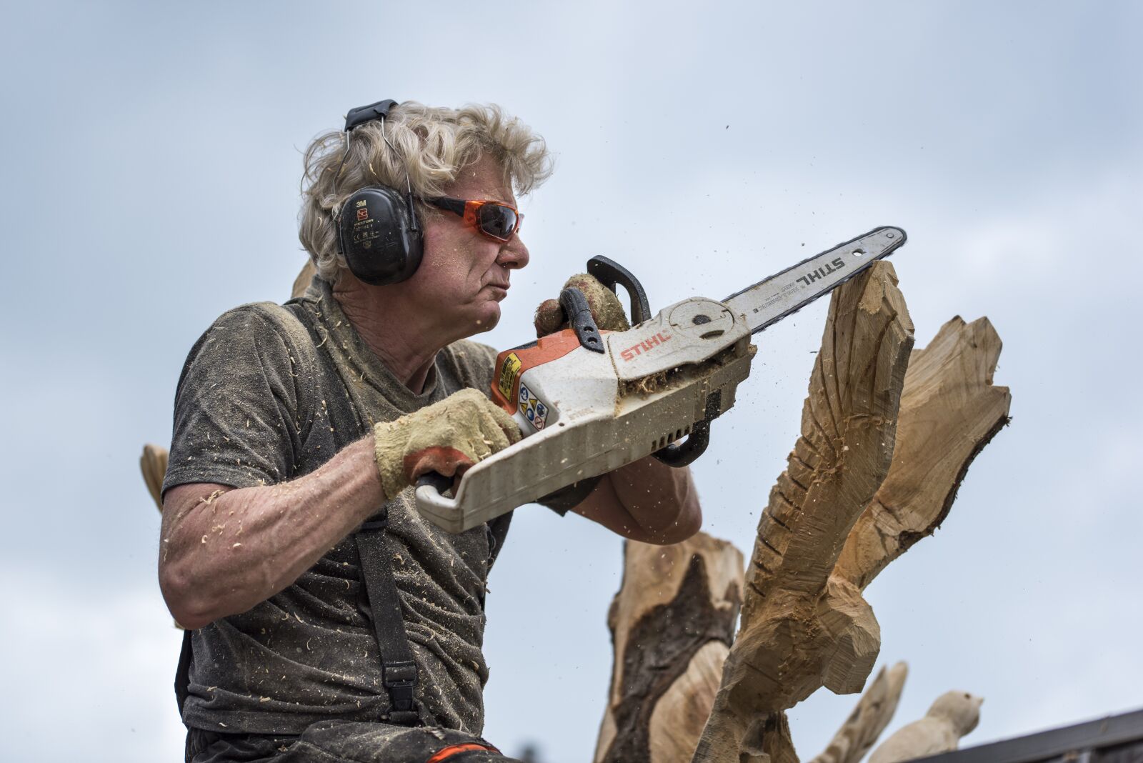Nikon D810 sample photo. Wood carver, tree, chainsaw photography