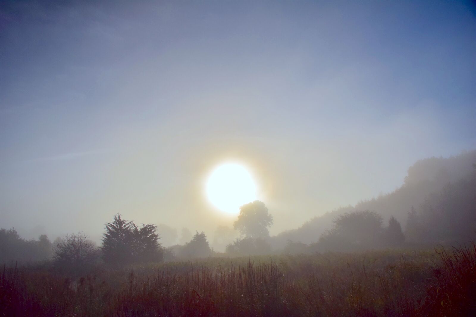 Nikon D3300 sample photo. Fog, morning, nature photography