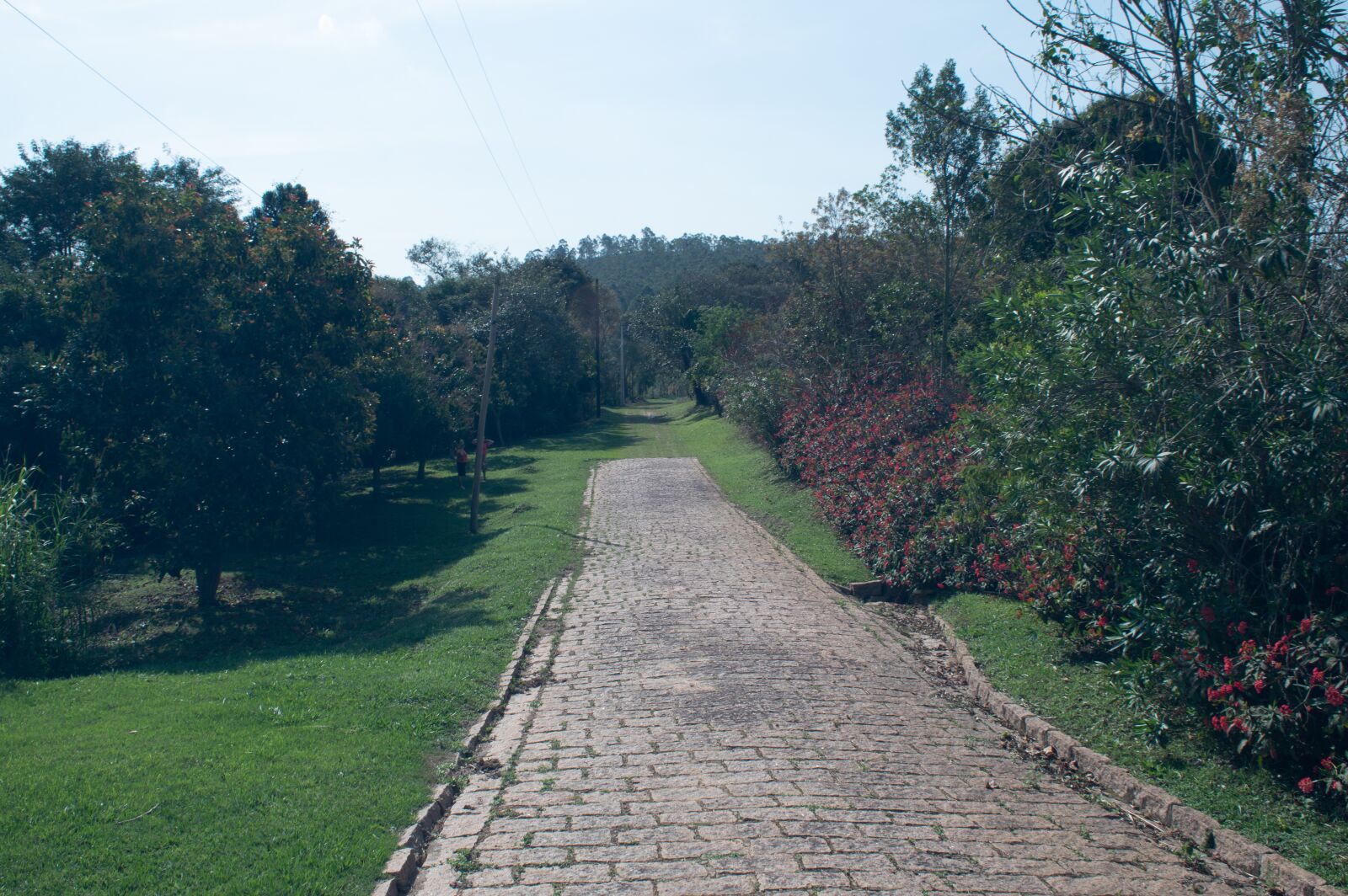 Nikon D3200 sample photo. A place to rest photography